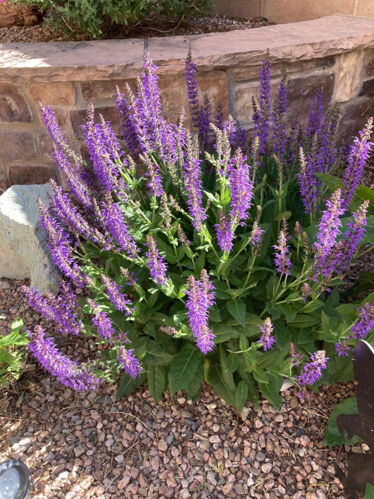 Albuquerque, New Mexico, 87114, United States, 3 Bedrooms Bedrooms, ,3 BathroomsBathrooms,Residential,For Sale,1996892