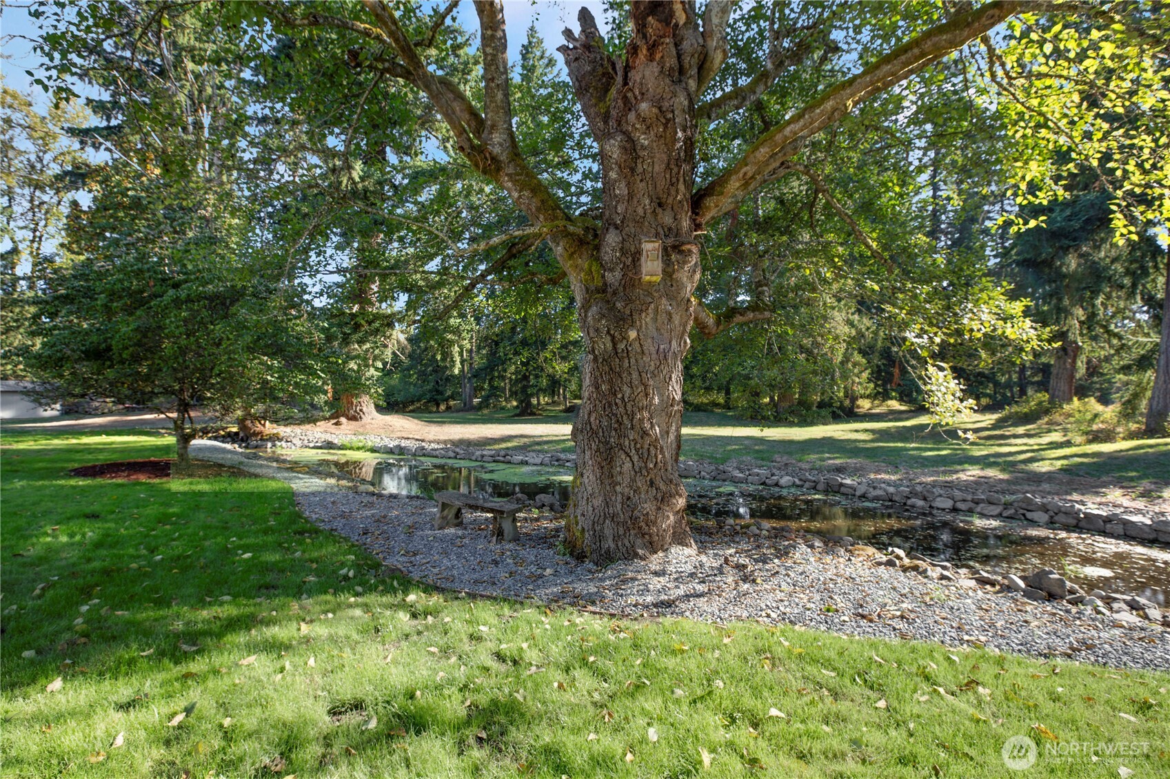 Maple Valley, Washington, 98038, United States, 3 Bedrooms Bedrooms, ,1 BathroomBathrooms,Residential,For Sale,1949722