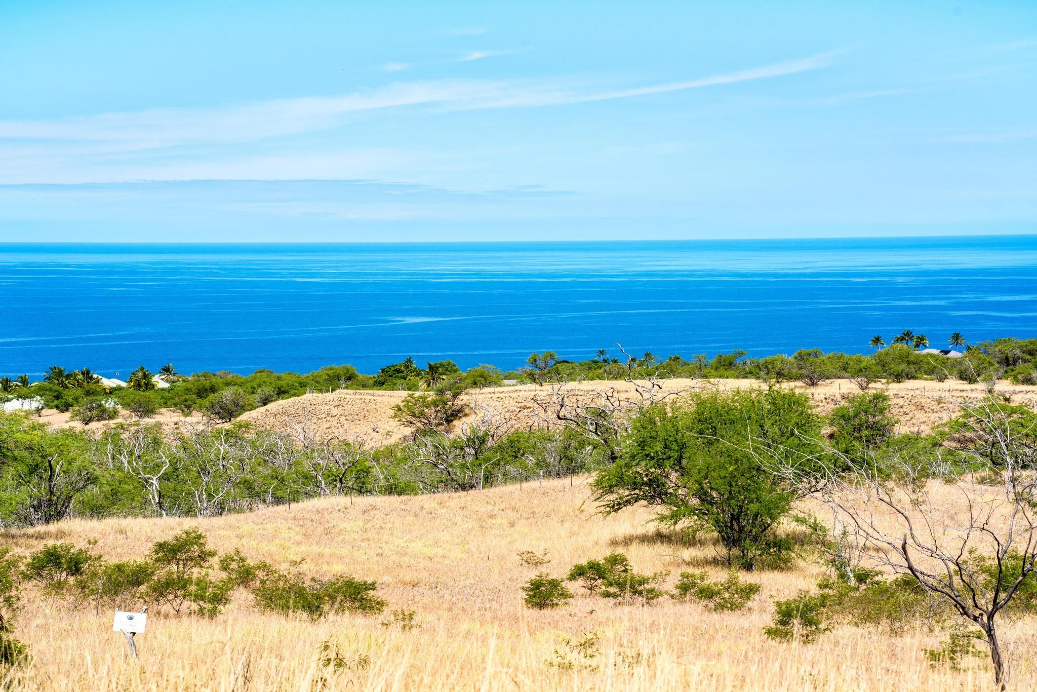  Hoopai Trail, lot 815 , Kapaau, HI 96755 - 物件實景