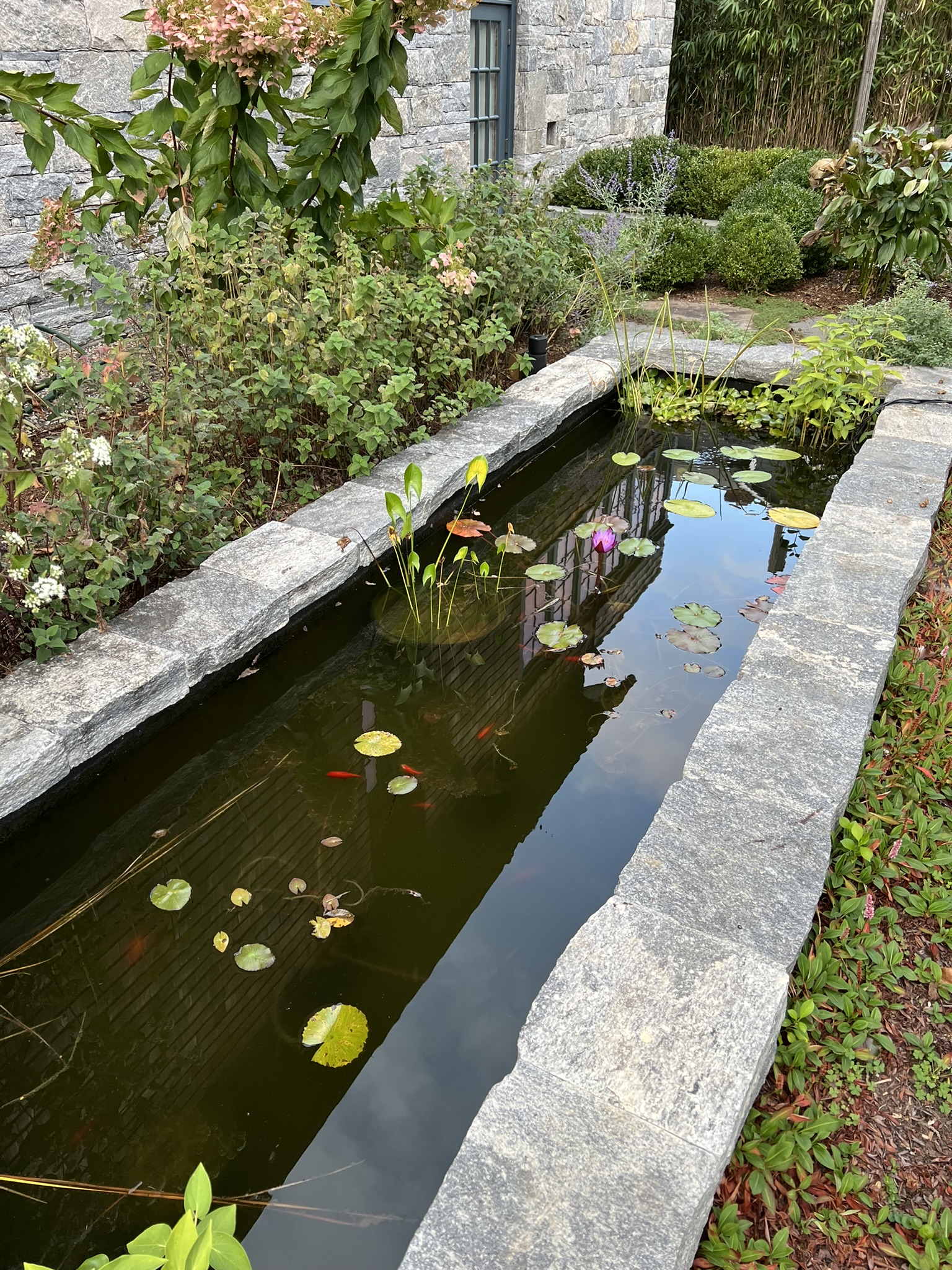  61 Hartford Avenue - 物件實景