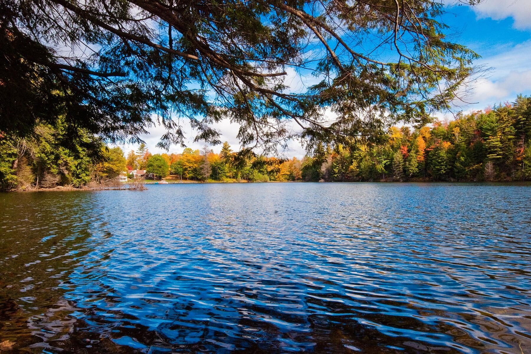  Pine Hill  Clear Water - 物件實景