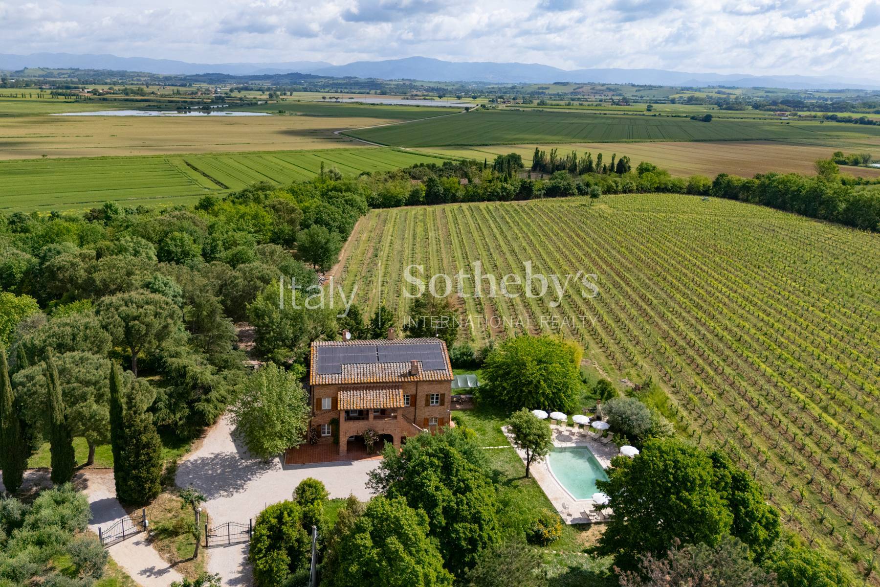  Refined wine estate with agritourism - 物件實景