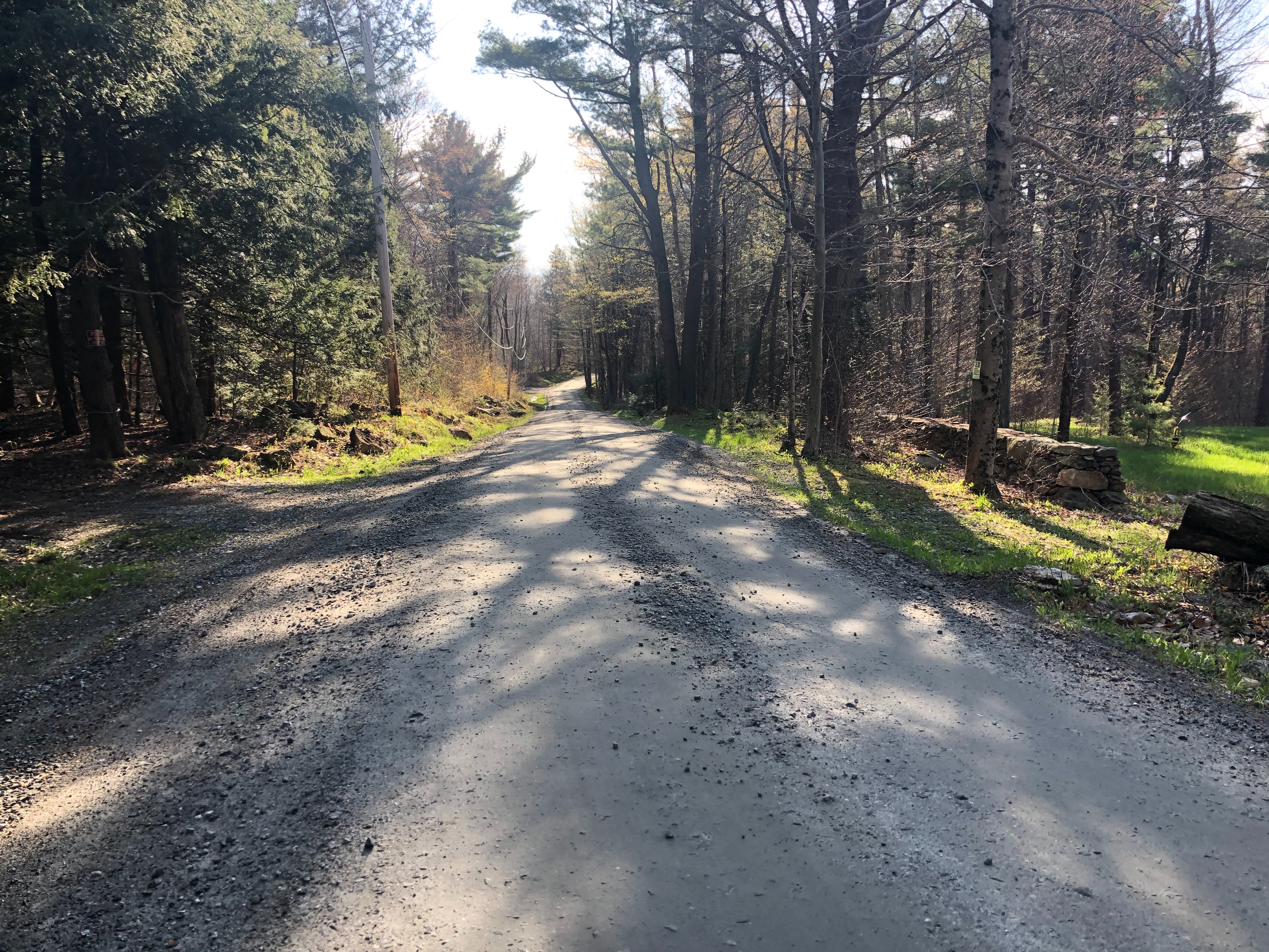  2.8 Acres on Quiet County Road in Otis - 物件實景