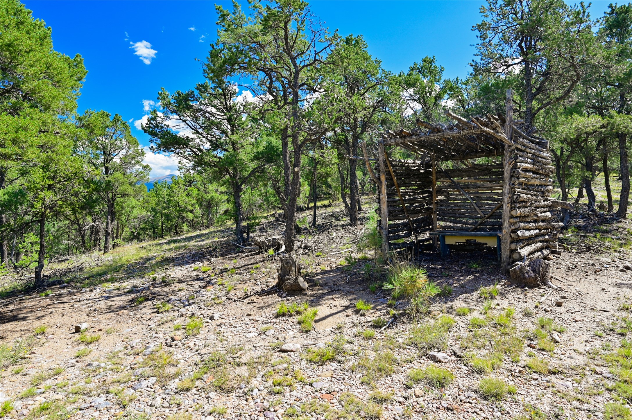  157 Pacheco Road - 物件實景