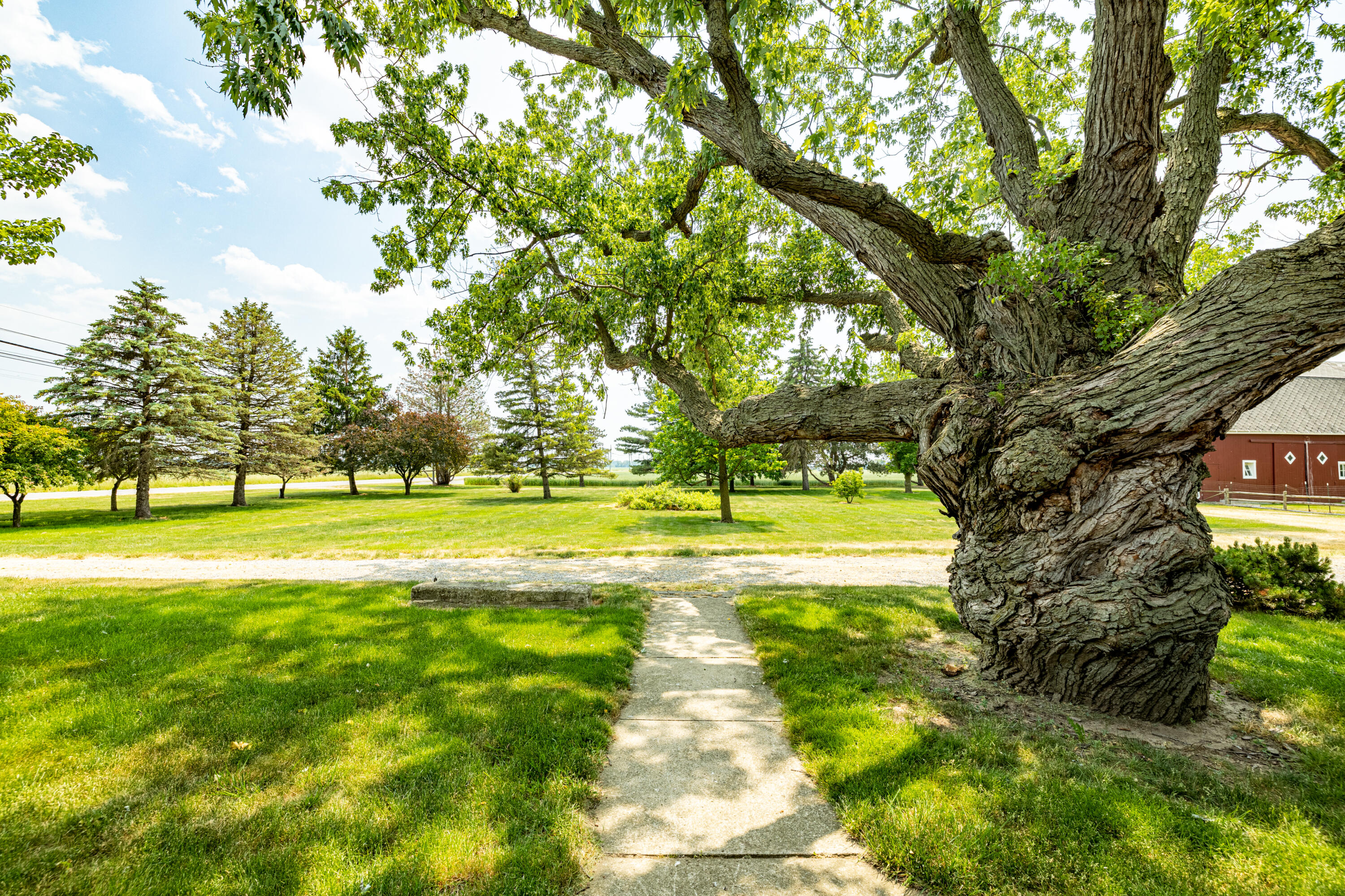 Ida, Michigan, 48140, United States, 4 Bedrooms Bedrooms, ,3 BathroomsBathrooms,Residential,For Sale,1973909