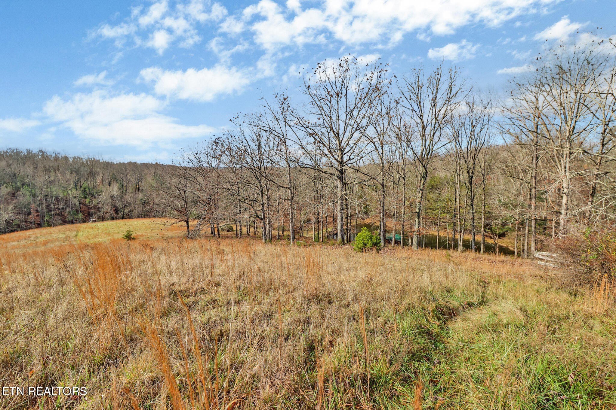 Deer Lodge, Tennessee, 37726, United States, 3 Bedrooms Bedrooms, ,2 BathroomsBathrooms,Residential,For Sale,2006458