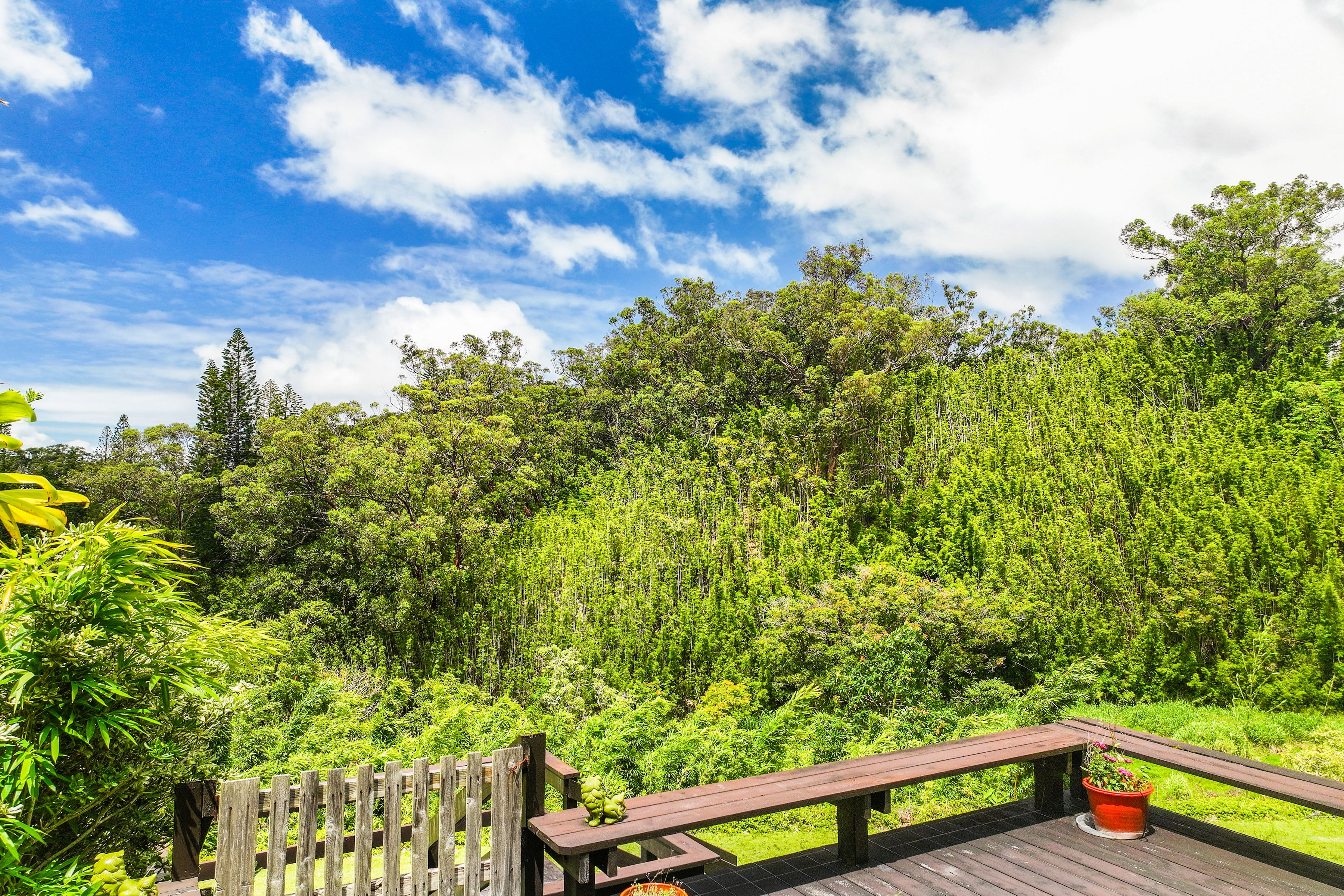  Architectural Haiku Retreat on Nearly 10 Private Acres - 物件實景