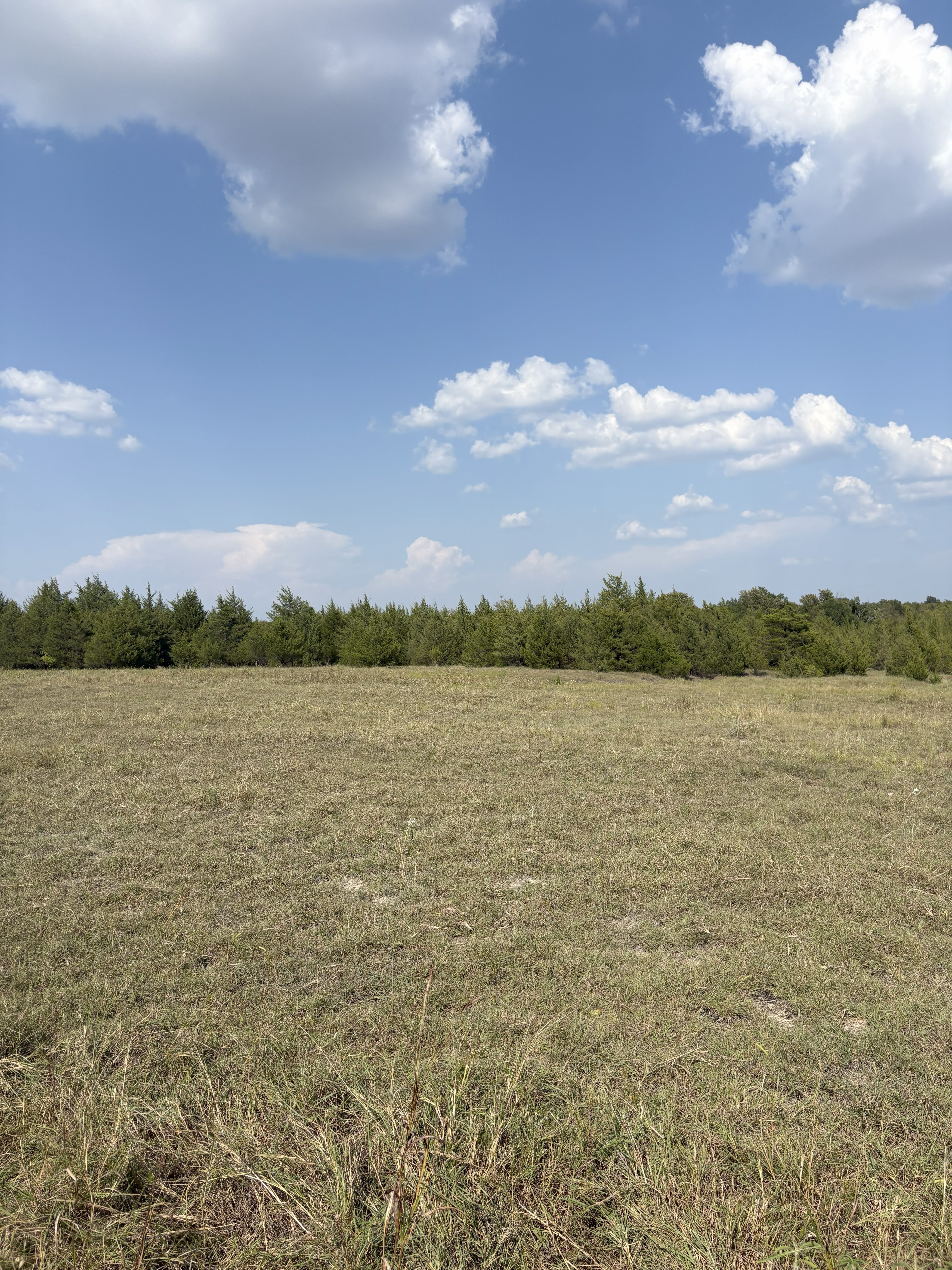 Roxton, Texas, 75477, United States, ,Land,For Sale,1979032