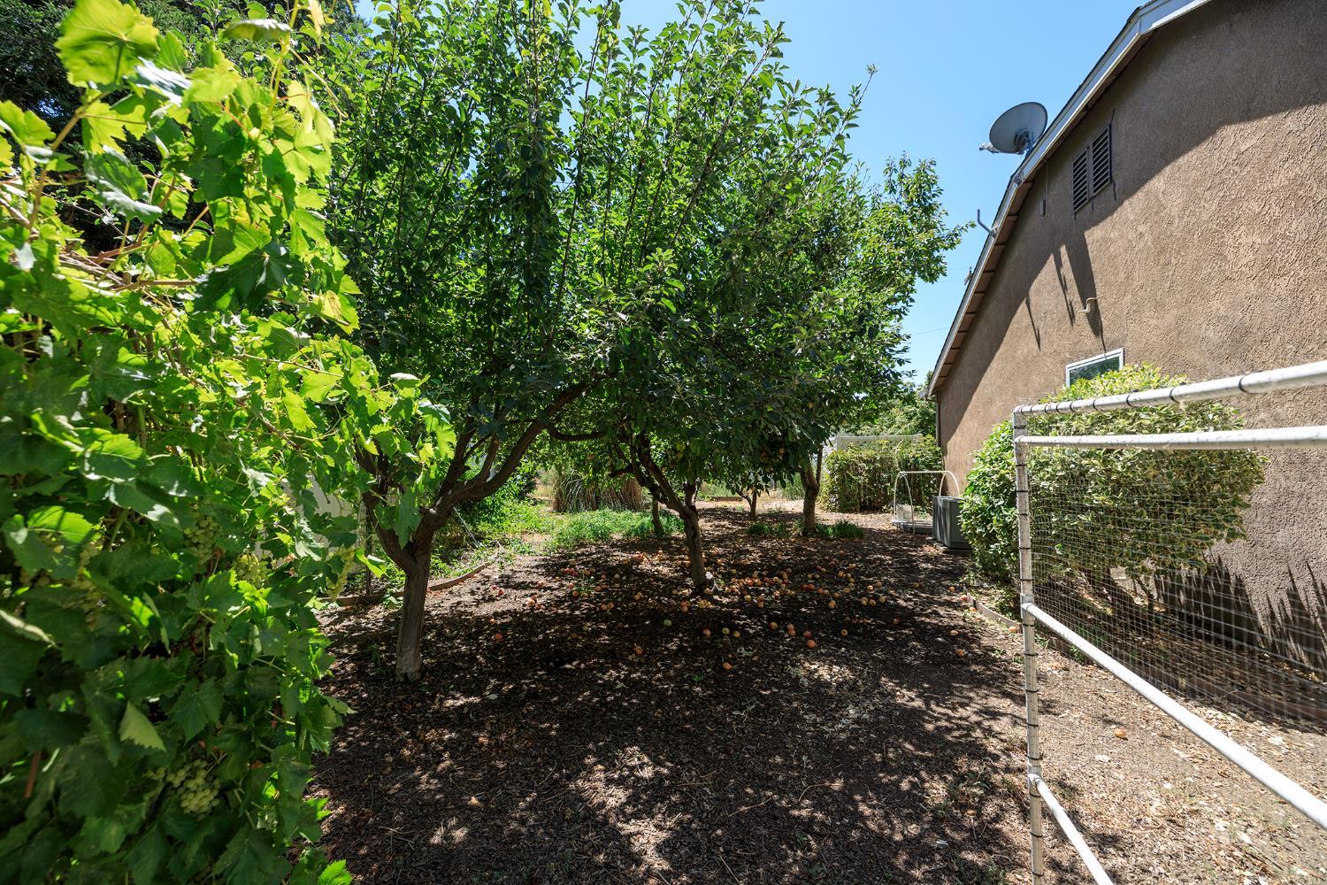 Hickman, California, 95323, United States, 4 Bedrooms Bedrooms, ,2 BathroomsBathrooms,Residential,For Sale,1914069
