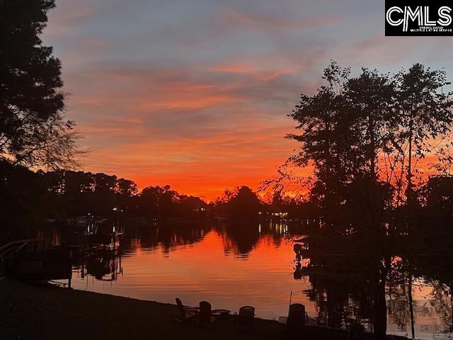 Chapin, South Carolina, 29036, United States, 5 Bedrooms Bedrooms, ,6 BathroomsBathrooms,Residential,For Sale,1910918