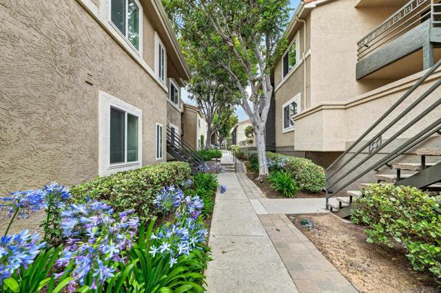 San Diego, California, 92122, United States, 2 Bedrooms Bedrooms, ,1 BathroomBathrooms,Residential,For Sale,2048428