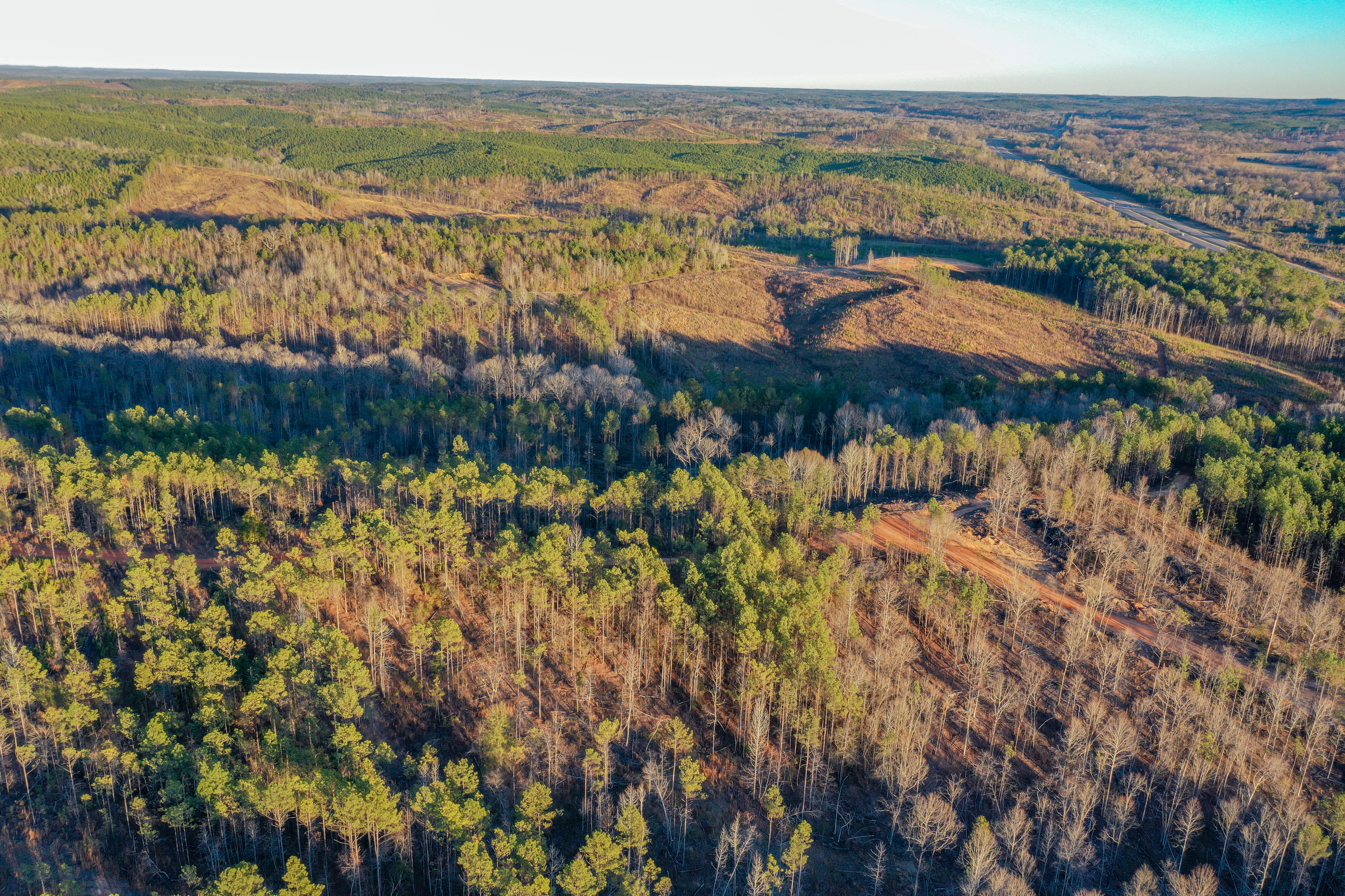 Centreville, Alabama, 35042, United States, ,Land,For Sale,2010430