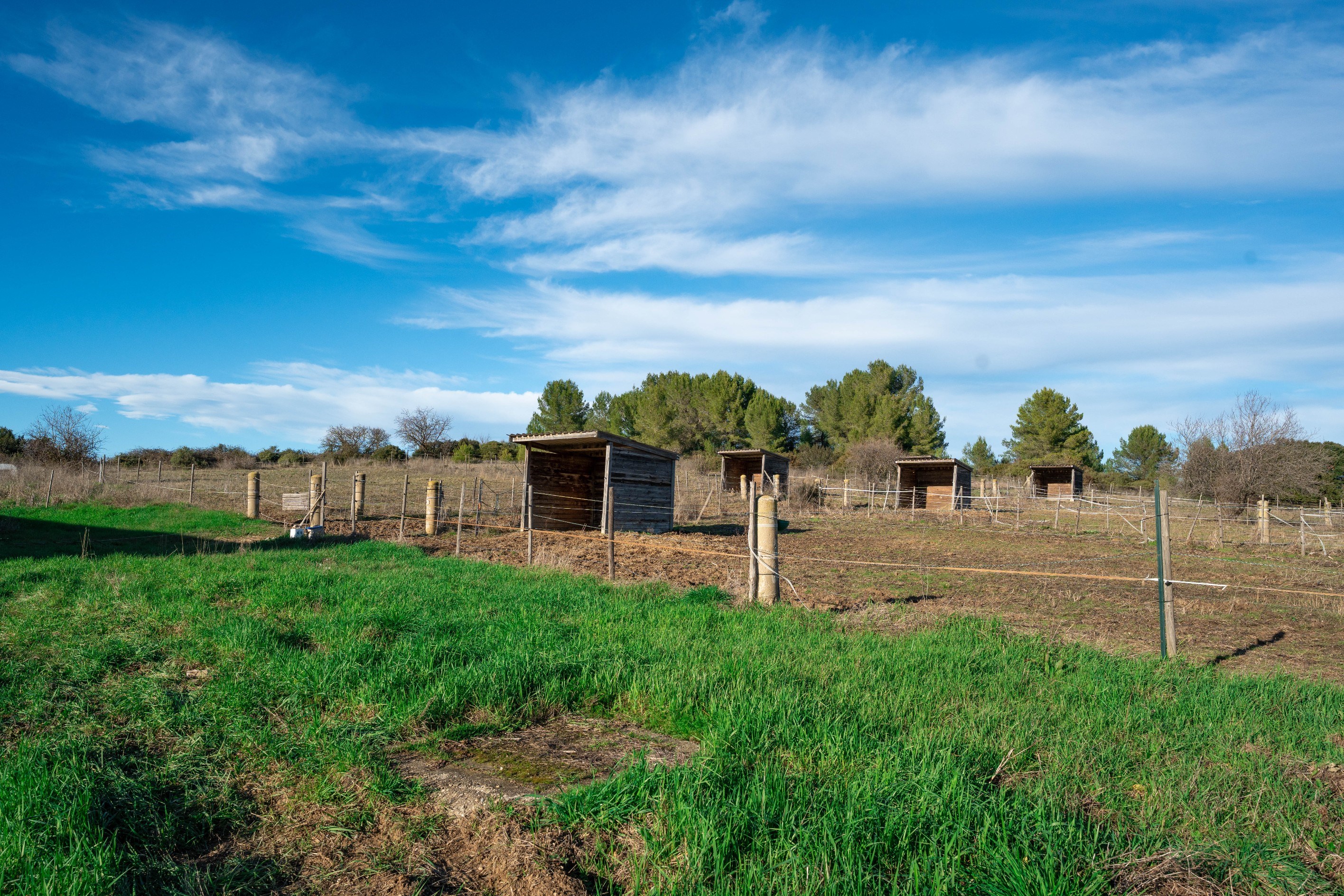  Equestrian excellence in a preserved natural setting - 物件實景
