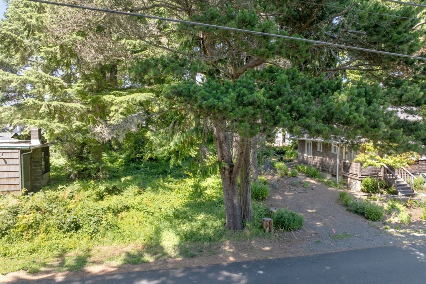  216 E Harrison ST Cannon Beach, OR 97110 - 物件實景