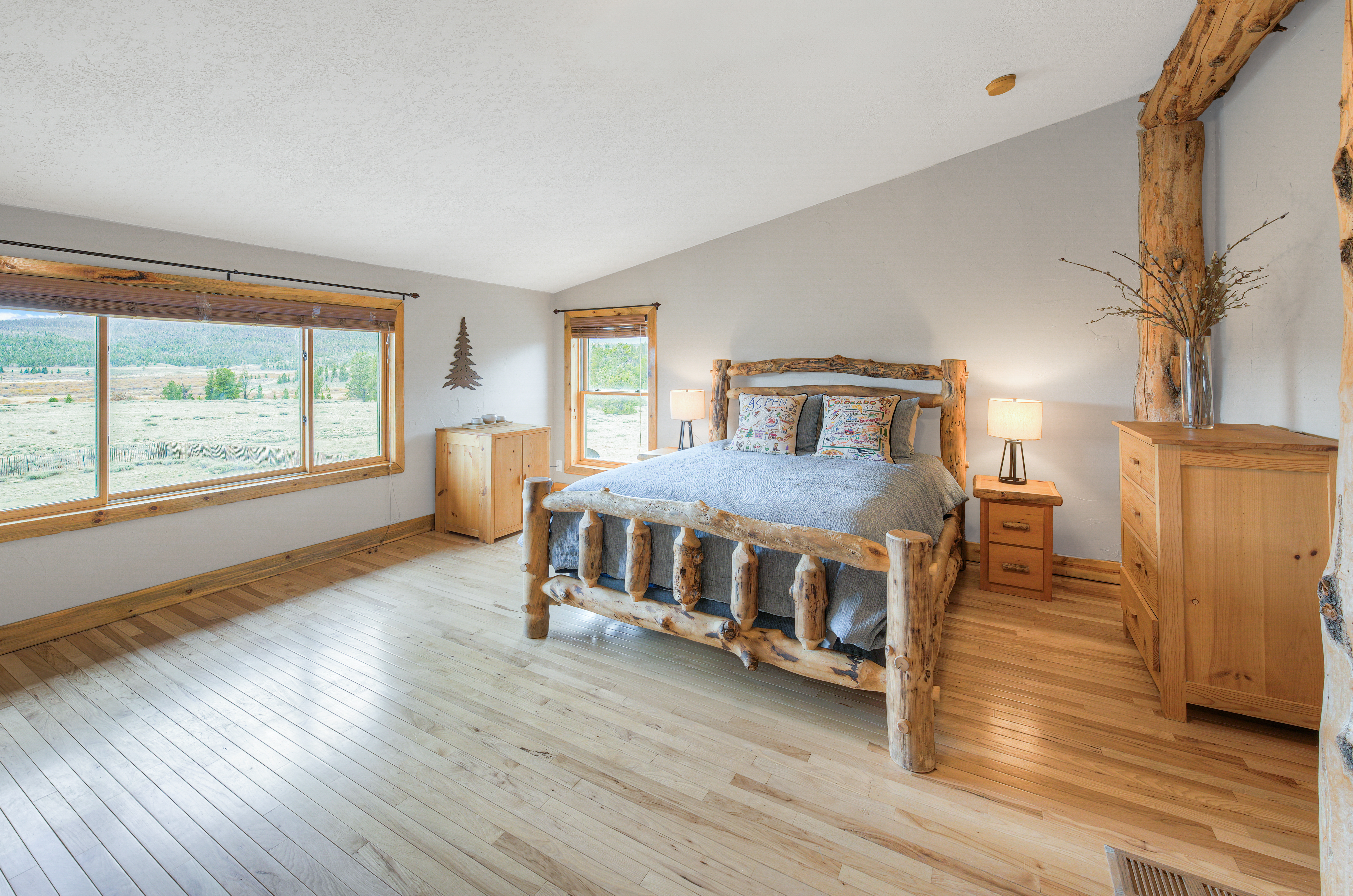  2867 Willow Creek Lane, Fairplay, CO, 80440 - 物件實景