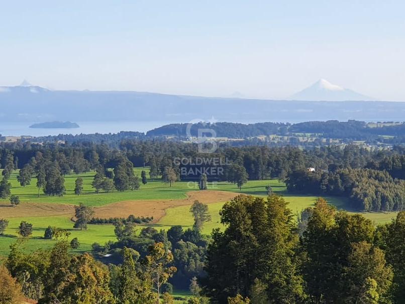 Futrono, Chile, 4 Bedrooms Bedrooms, ,3 BathroomsBathrooms,Residential,For Sale,1966703