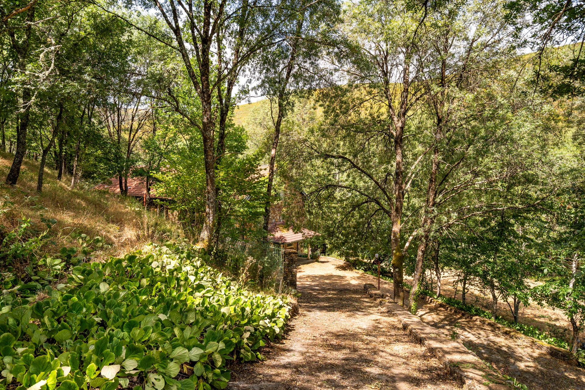  Farm, 5 bedrooms, for Sale - 物件實景