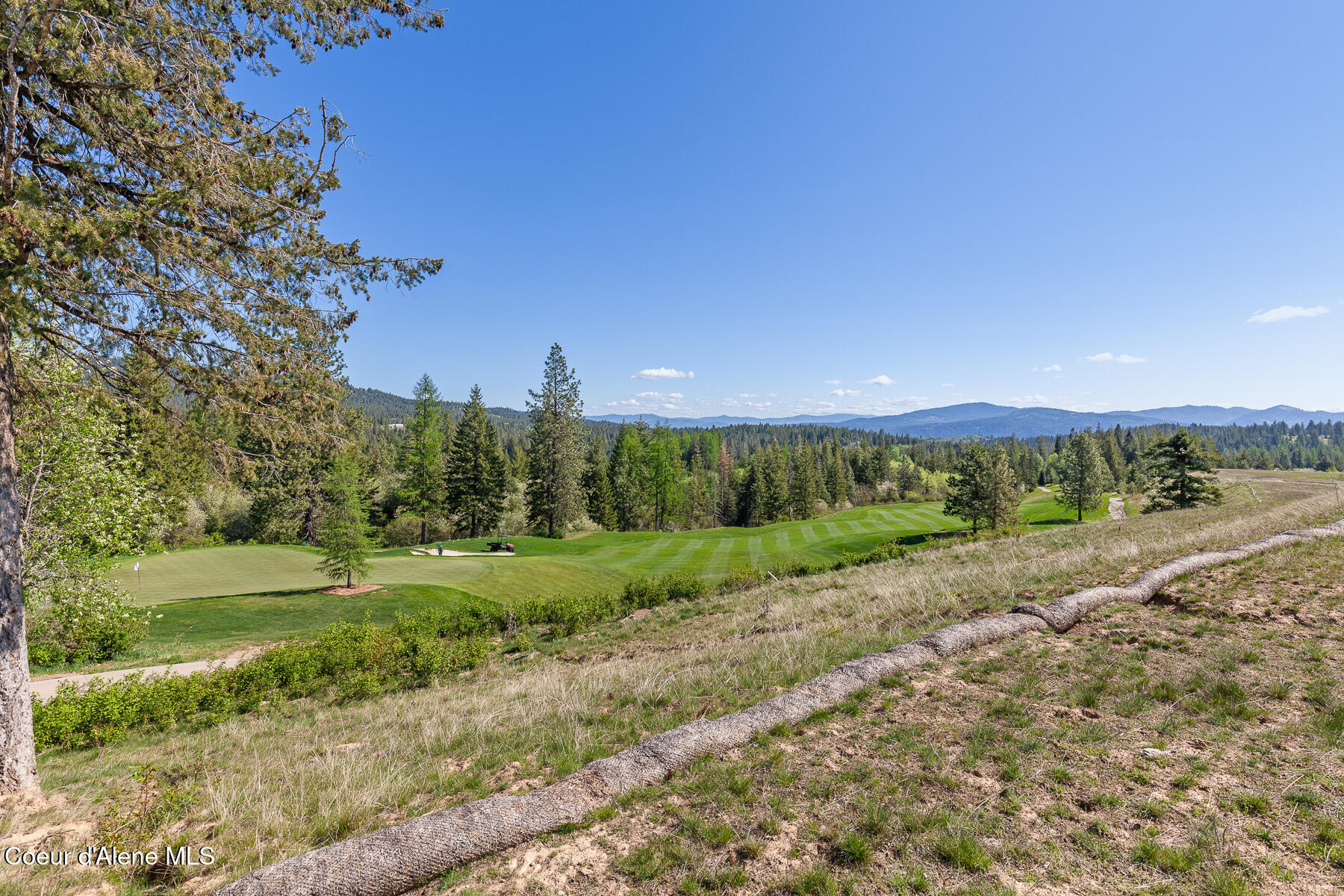 Coeur d'Alene, Idaho, 83814, United States, ,Land,For Sale,1975112