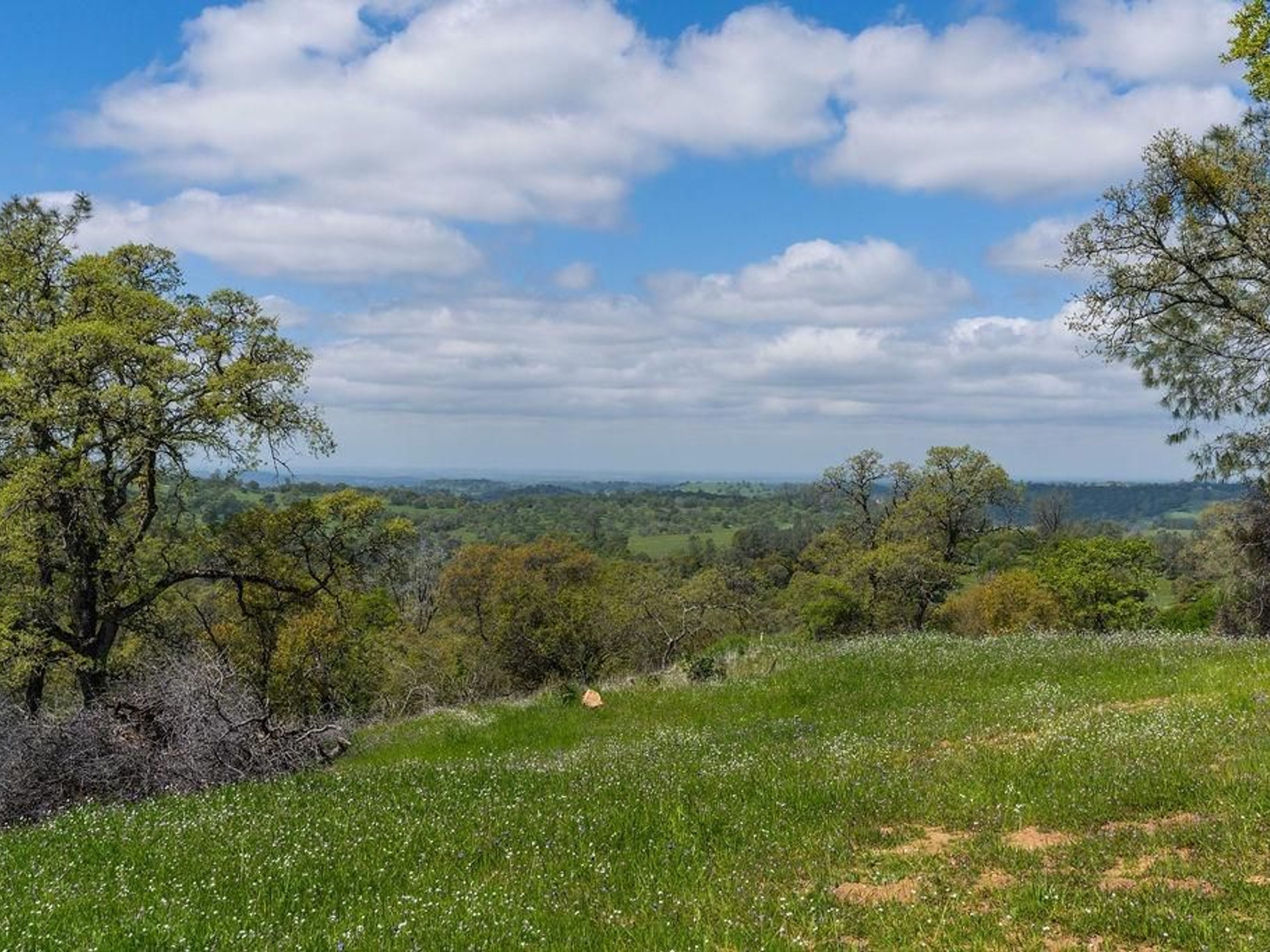  10865 Sunset Drive, Sutter Creek, CA 95685 - 物件實景