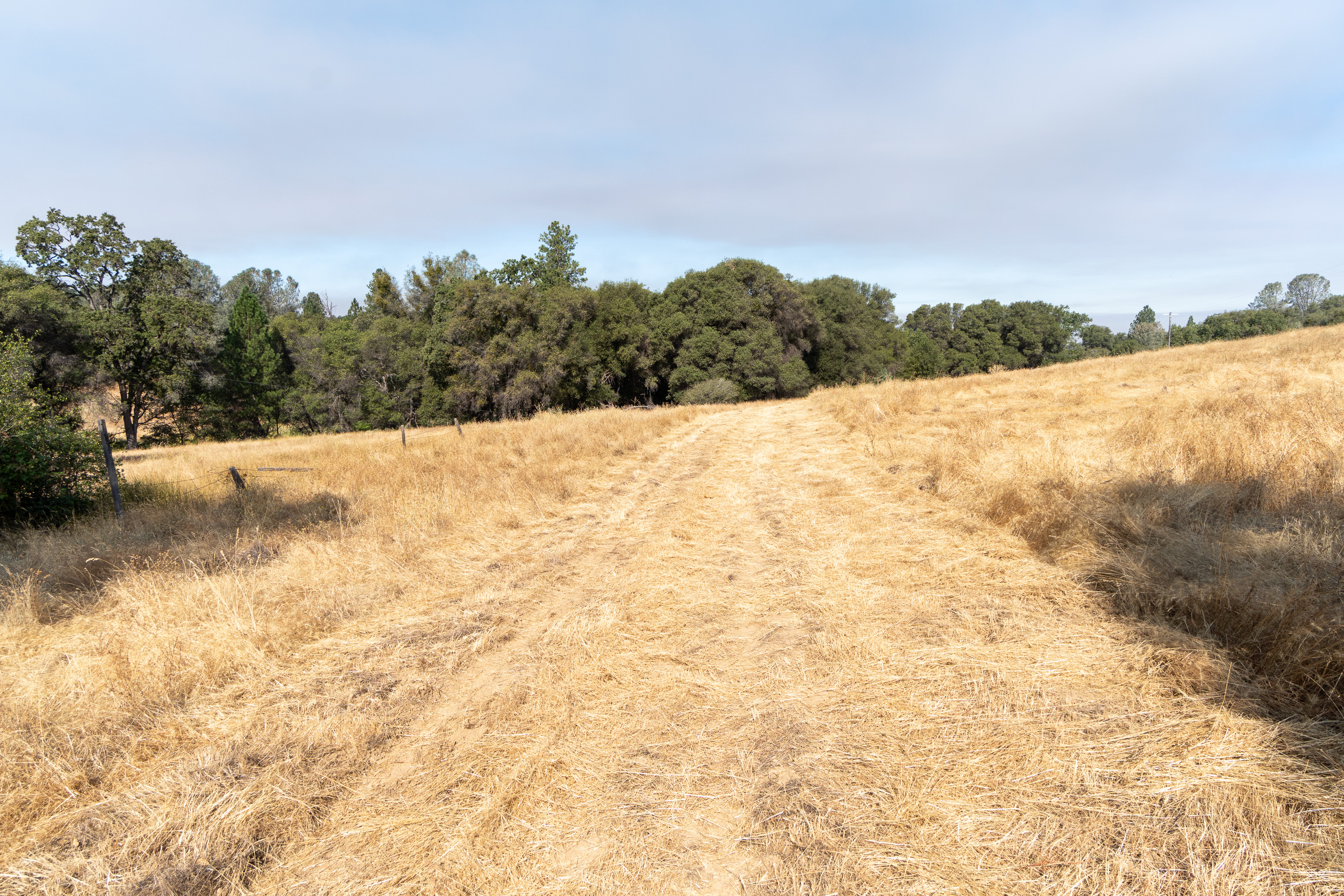  Historic Gold Rush-Era Ranch on 60 Acres in El Dorado County - 物件實景