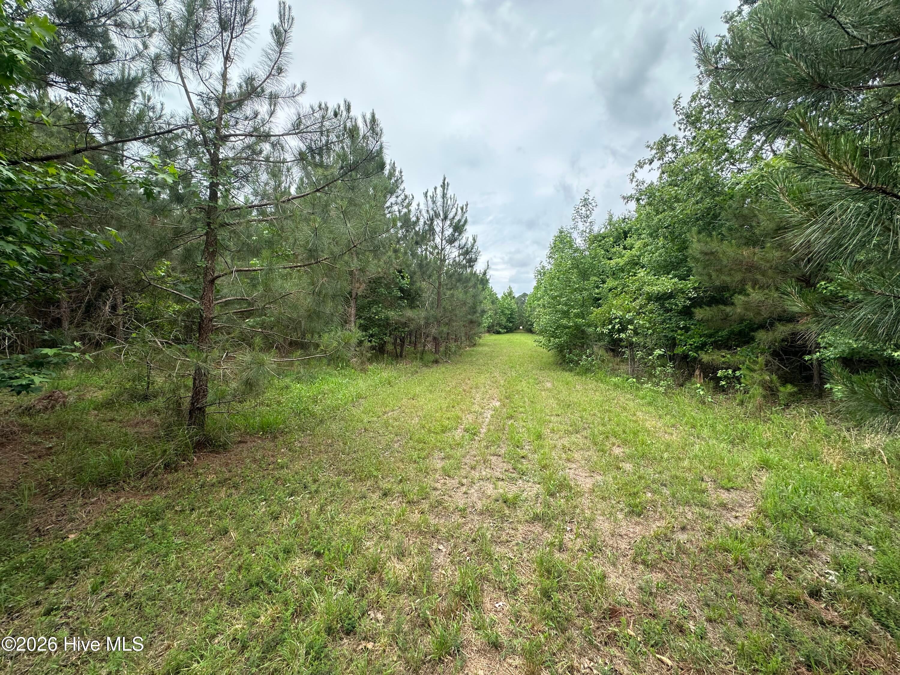 Ahoskie, North Carolina, 27910, United States, ,Land,For Sale,2048833