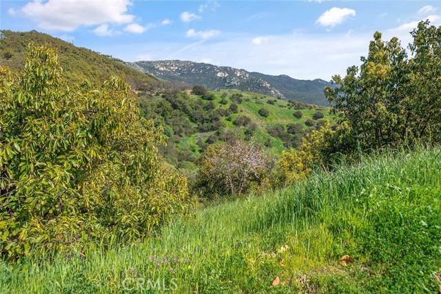 Temecula, California, 92590, United States, ,Land,For Sale,1981678