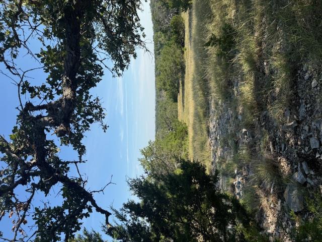 Fredericksburg, Texas, 78624, United States, 3 Bedrooms Bedrooms, ,2 BathroomsBathrooms,Residential,For Sale,1984349