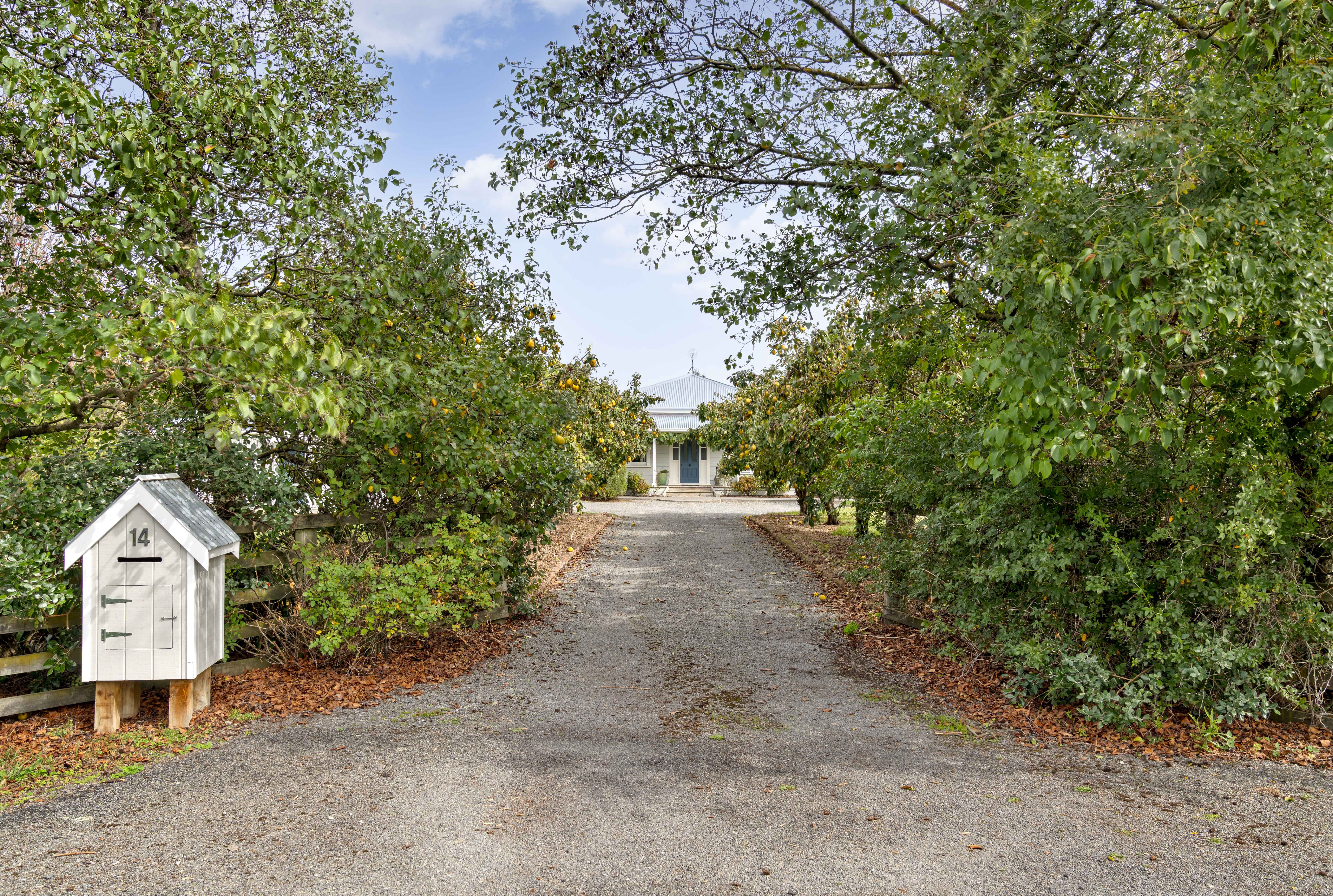  Charming Country Retreat - 物件實景