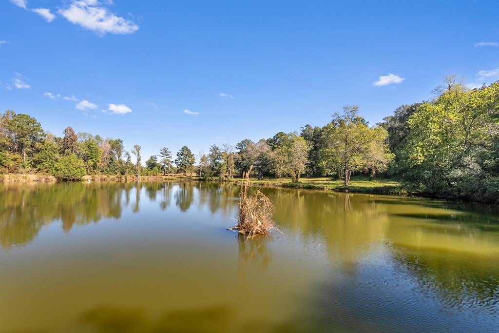 Midland City, Alabama, 36350, United States, 4 Bedrooms Bedrooms, ,3 BathroomsBathrooms,Residential,For Sale,1989153
