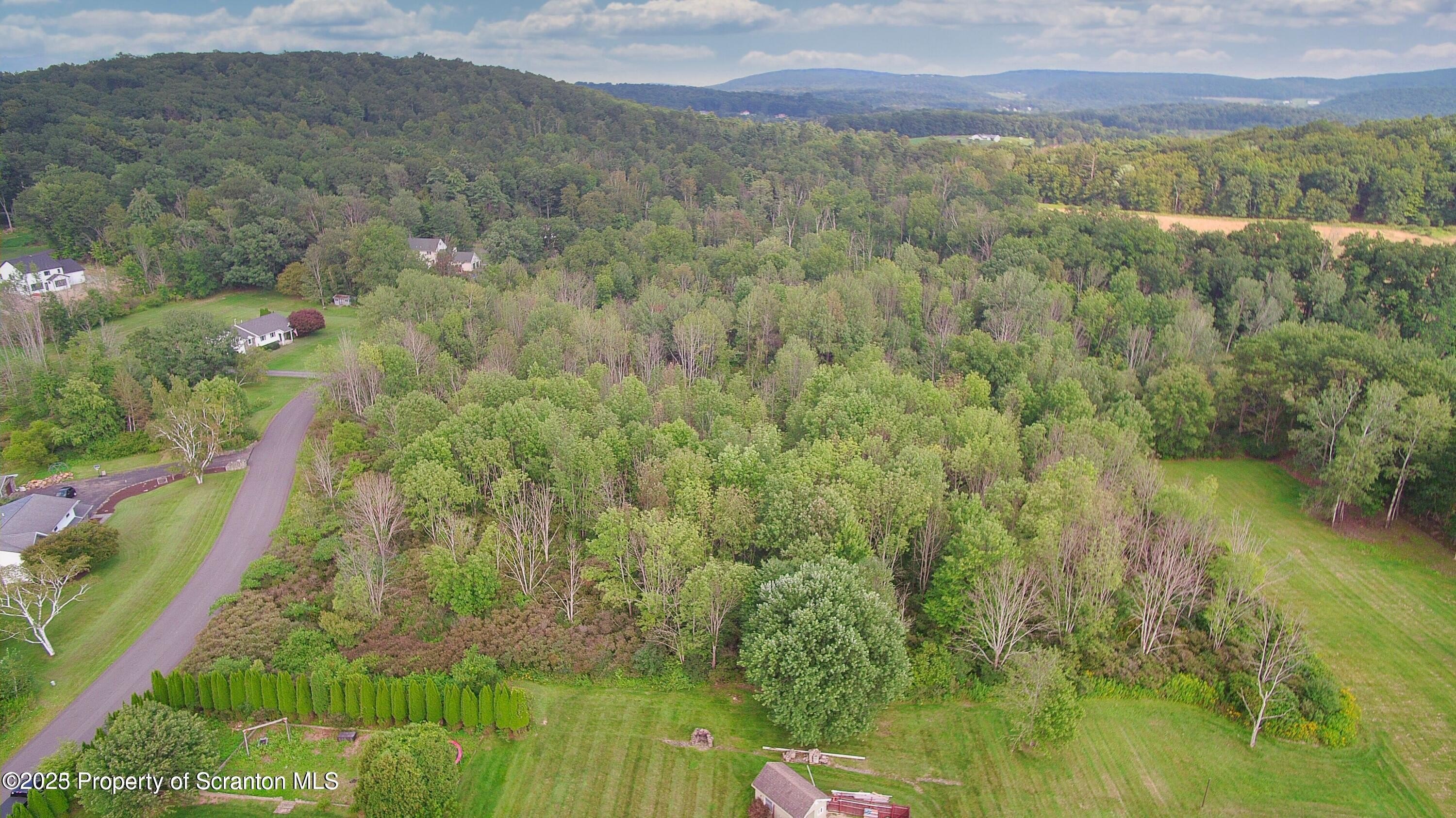 Newton Twp, Pennsylvania, 18411, United States, ,Land,For Sale,1980974