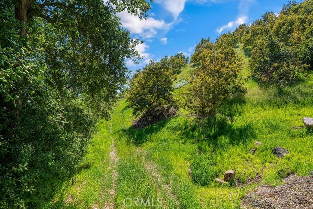 Temecula, California, 92590, United States, ,Land,For Sale,1981678