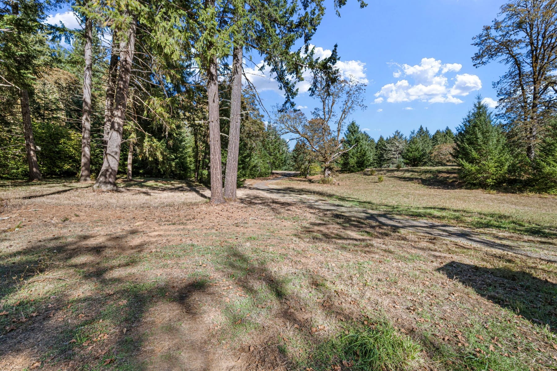  24027 HAWLEY CREEK RD Monroe, OR 97456 - 物件實景