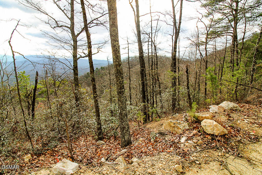 Sevierville, Tennessee, 37876, United States, ,Land,For Sale,2009102