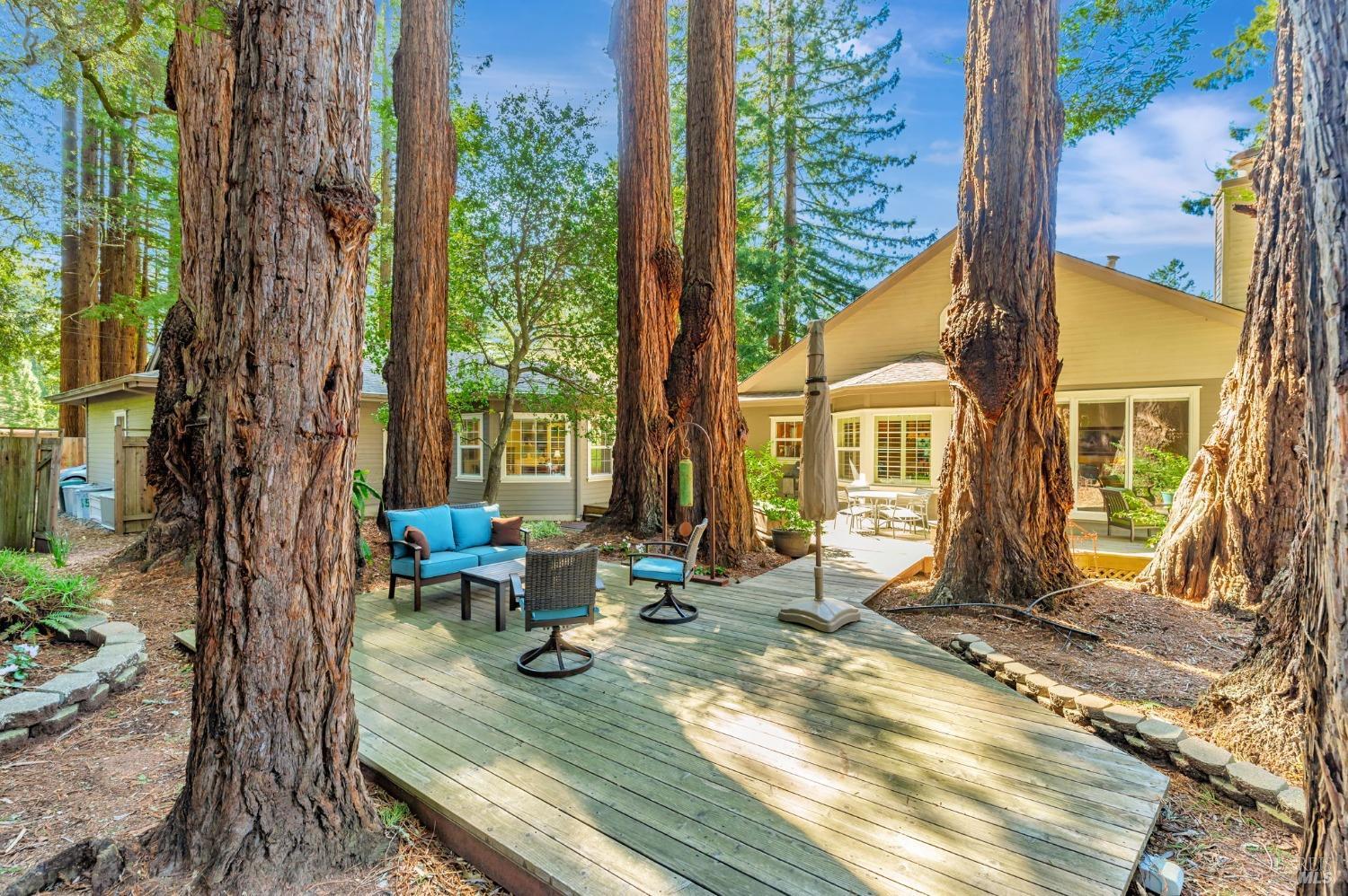 Sebastopol, California, 95472, United States, 4 Bedrooms Bedrooms, ,3 BathroomsBathrooms,Residential,For Sale,1989317