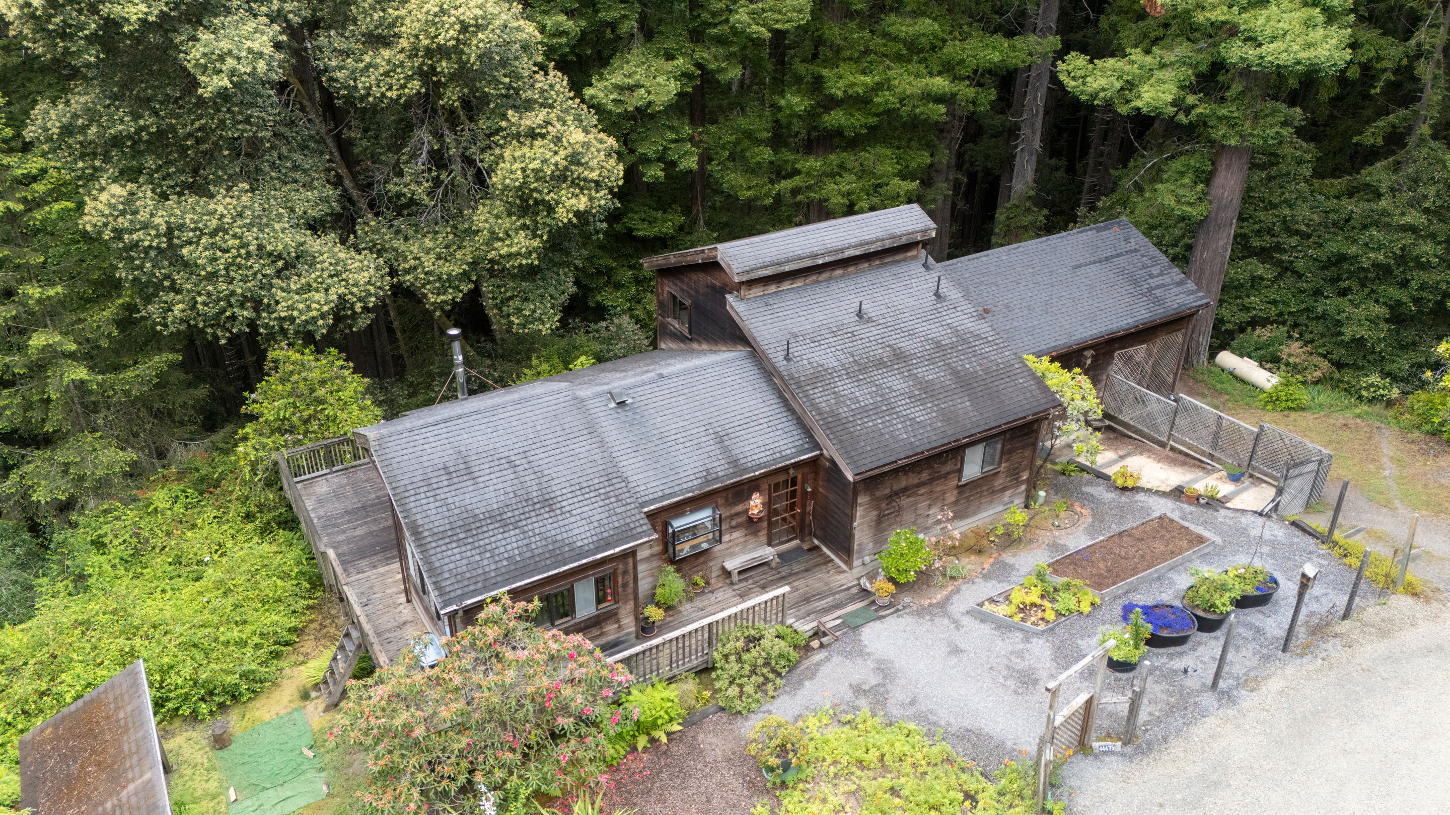  Forest Sanctuary Near Mendocino - 物件實景