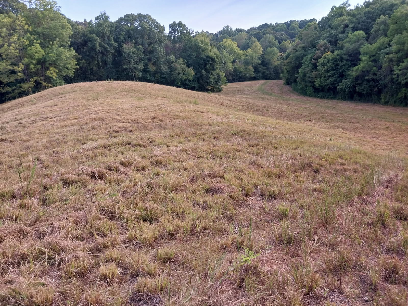 Hornbeak, Tennessee, 38232, United States, 3 Bedrooms Bedrooms, ,2 BathroomsBathrooms,Residential,For Sale,2005816