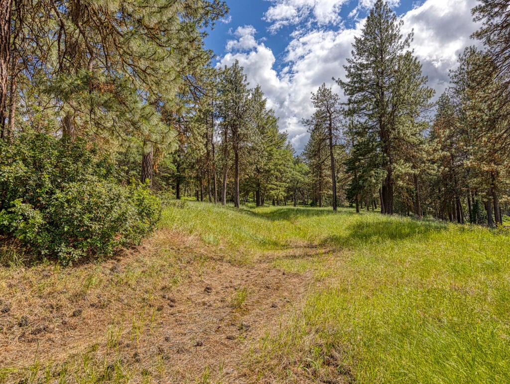 Klamath Falls, Oregon, 97601, United States, ,Land,For Sale,1793869