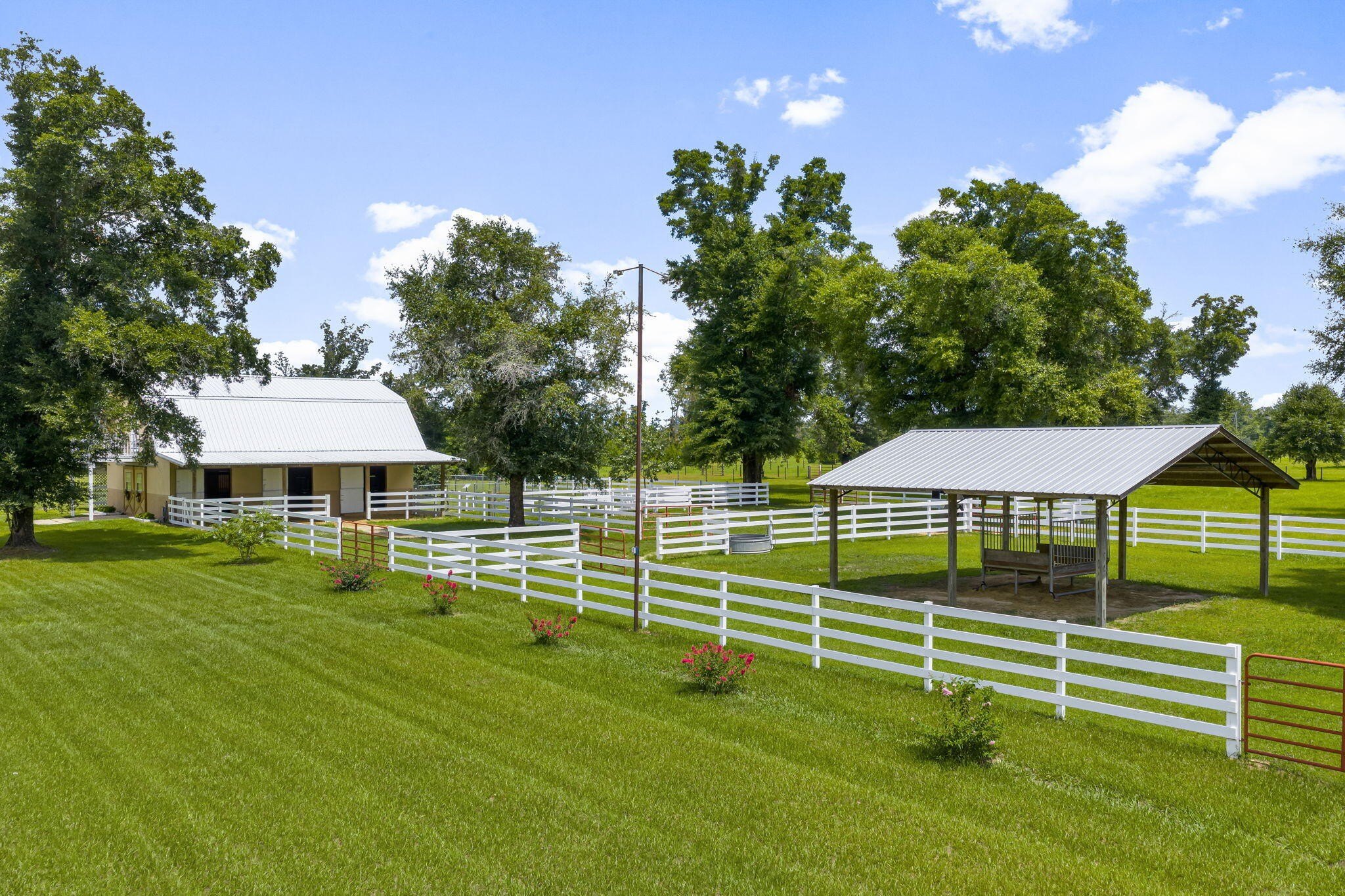 Youngstown, Florida, 32466, United States, 6 Bedrooms Bedrooms, ,6 BathroomsBathrooms,Residential,For Sale,1981831