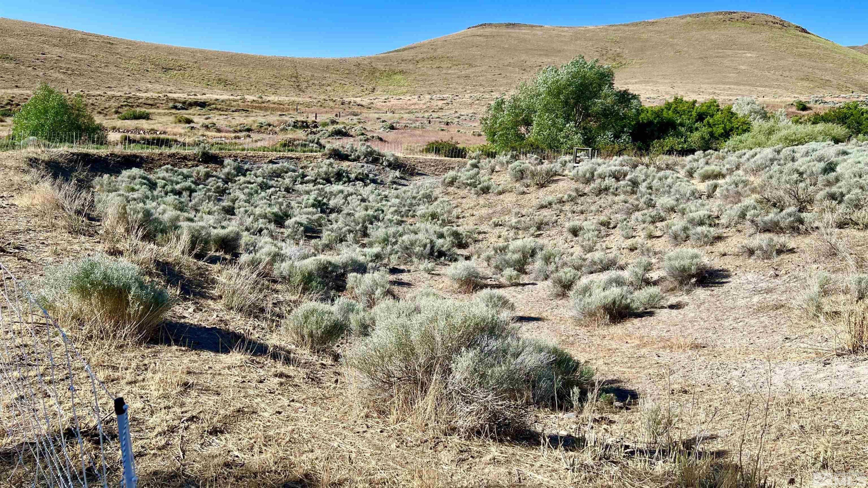 Unionville, Nevada, 89418, United States, 4 Bedrooms Bedrooms, ,2 BathroomsBathrooms,Residential,For Sale,1975232