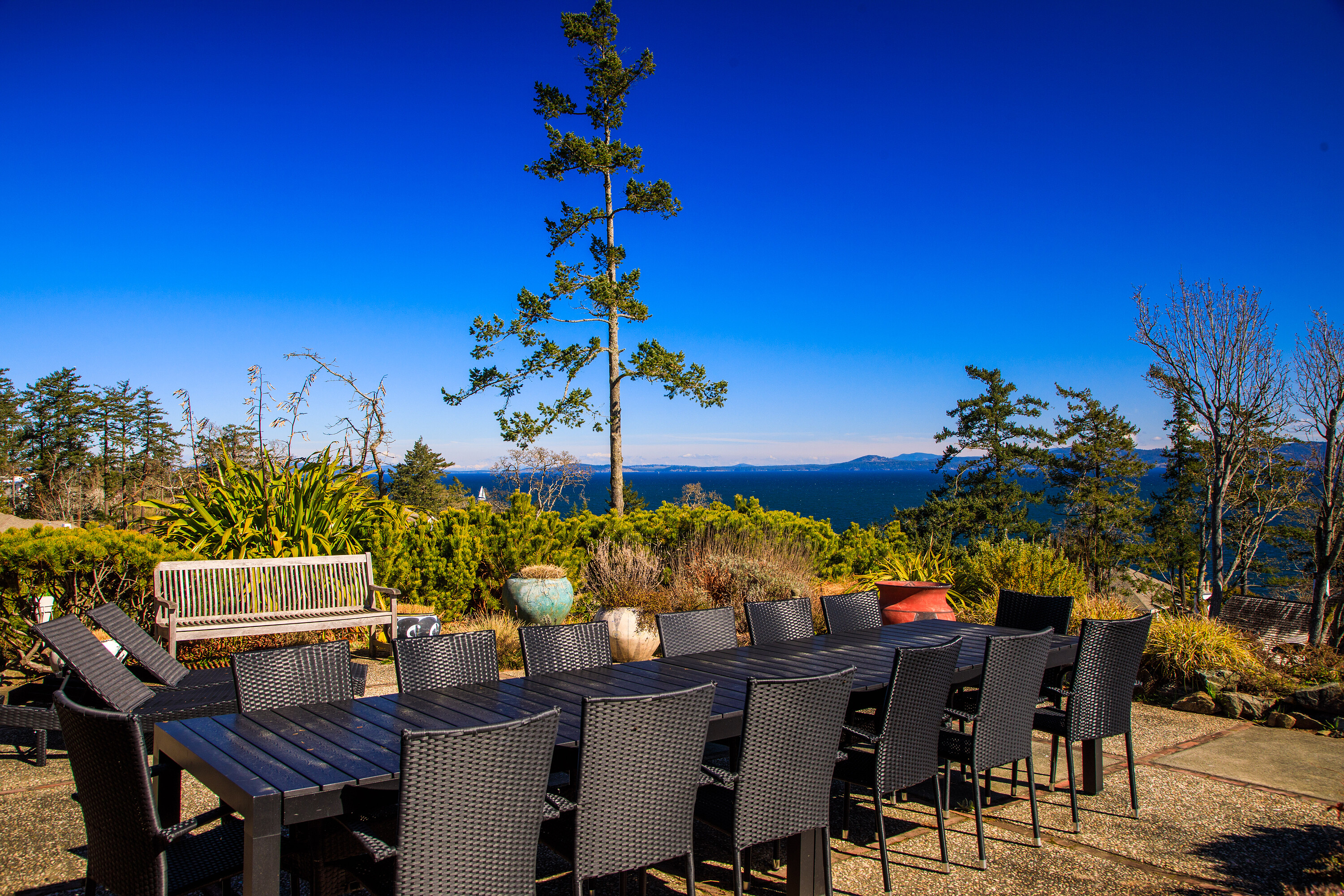  Local Treasure - 物件實景