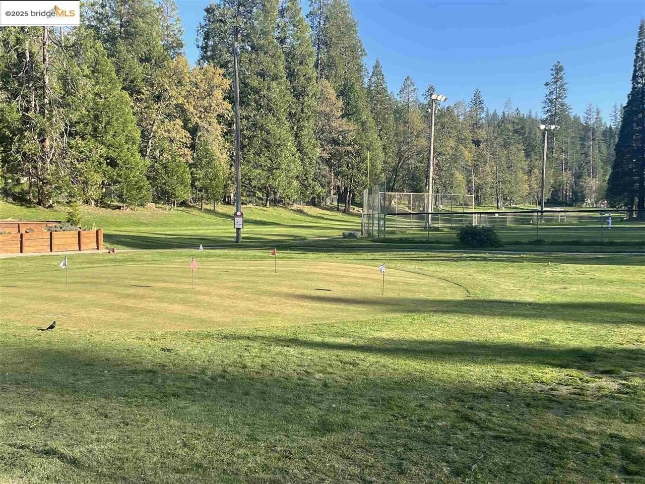 Twain Harte, California, 95383, United States, 3 Bedrooms Bedrooms, ,2 BathroomsBathrooms,Residential,For Sale,1974121