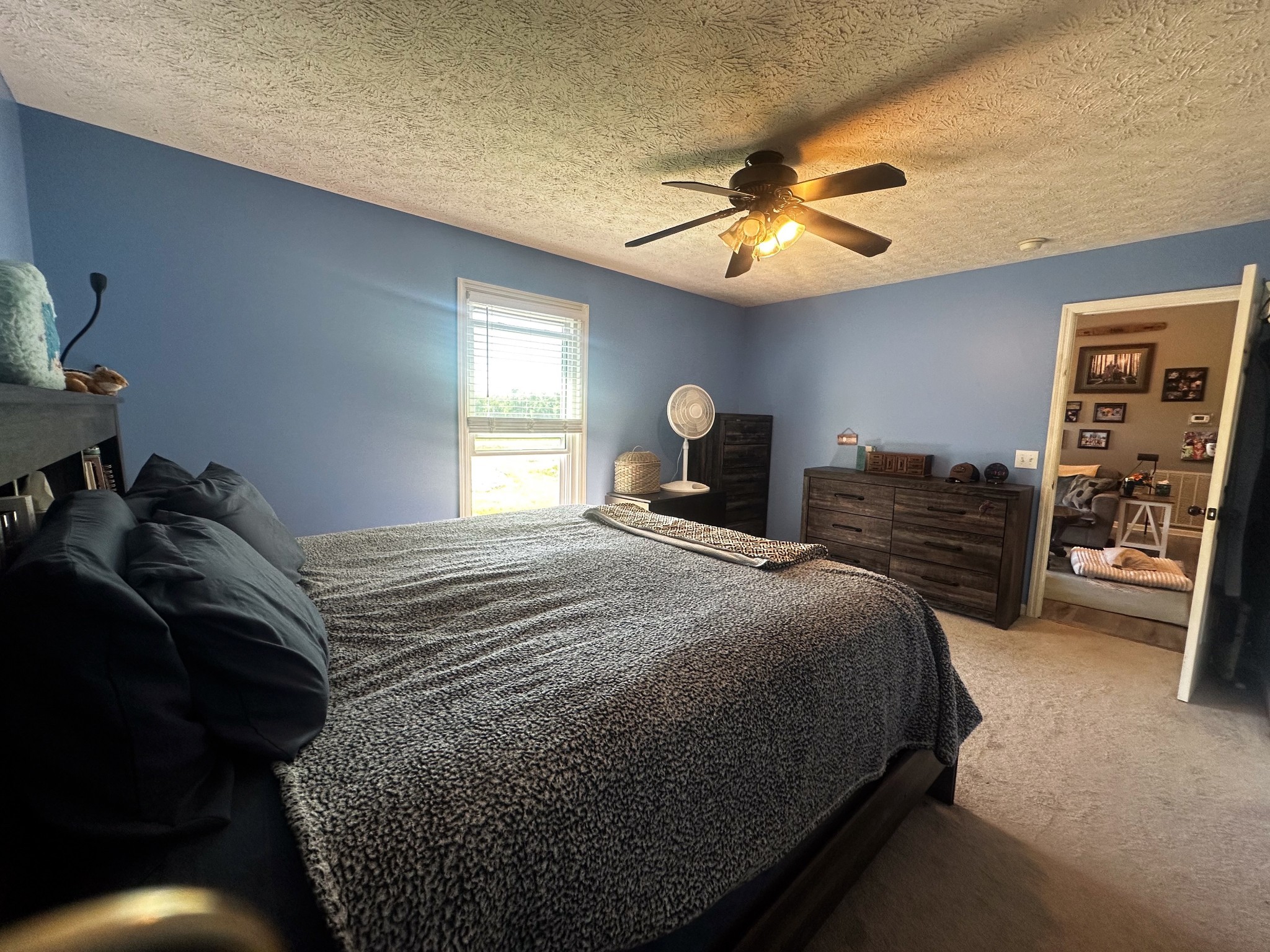  831 Philippi Rd, Wartrace, TN, 37183 - 物件實景