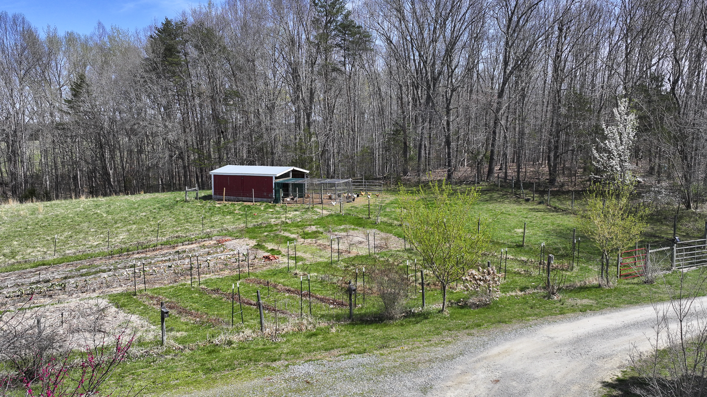  1399 Apple Grove Road, Mineral, VA 23117 - 物件實景