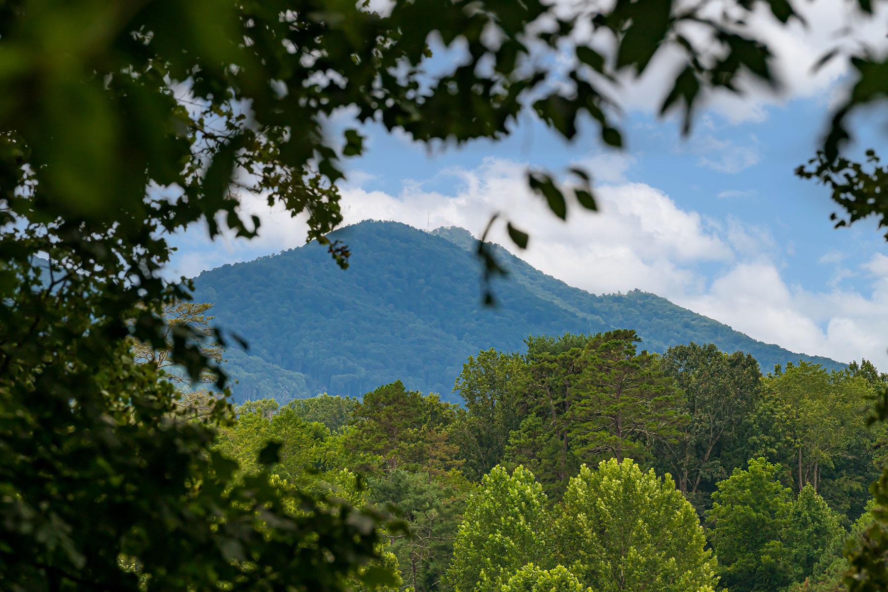  ASHEVILLE - 物件實景