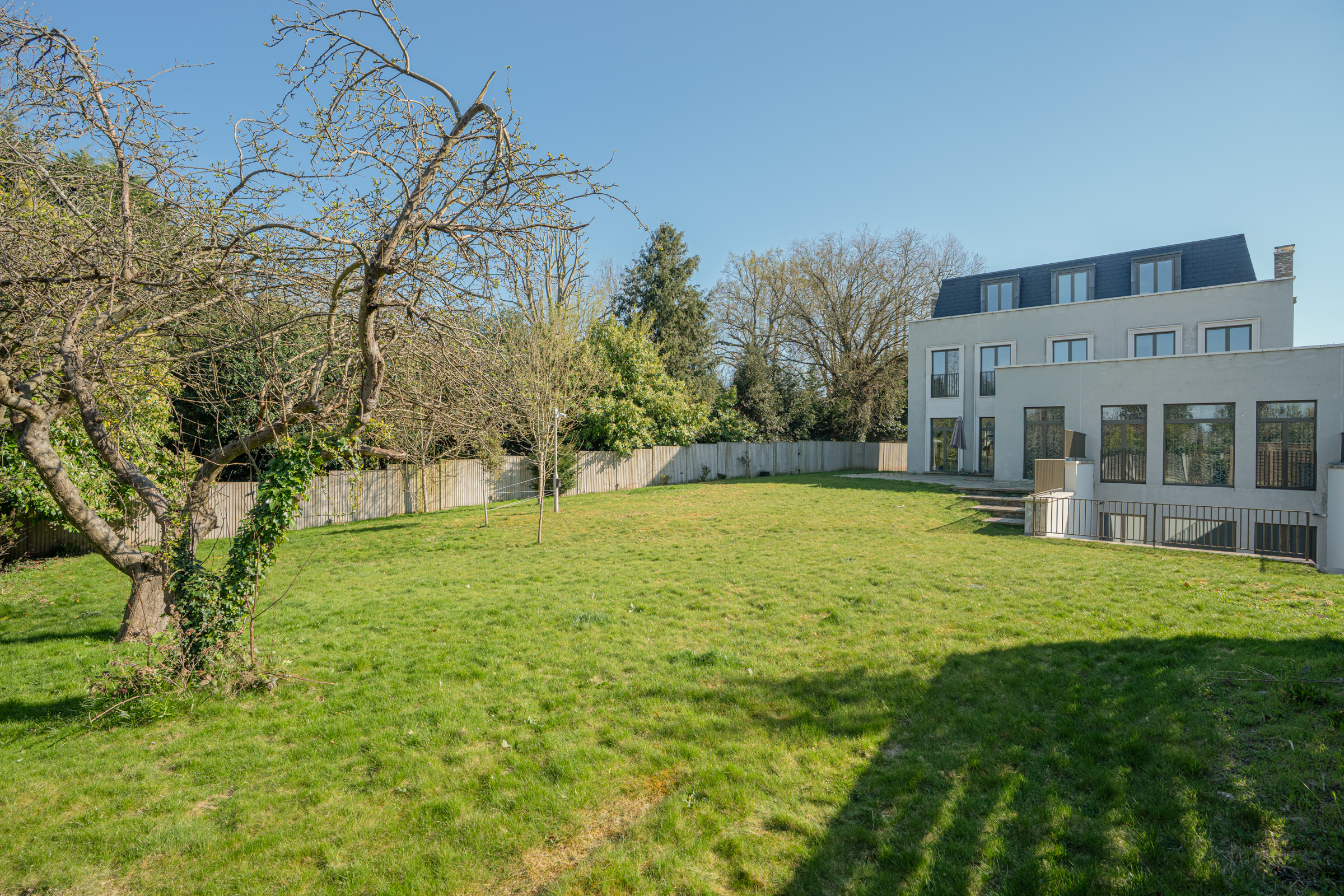  Contemporary family home in Wimbledon - 物件實景