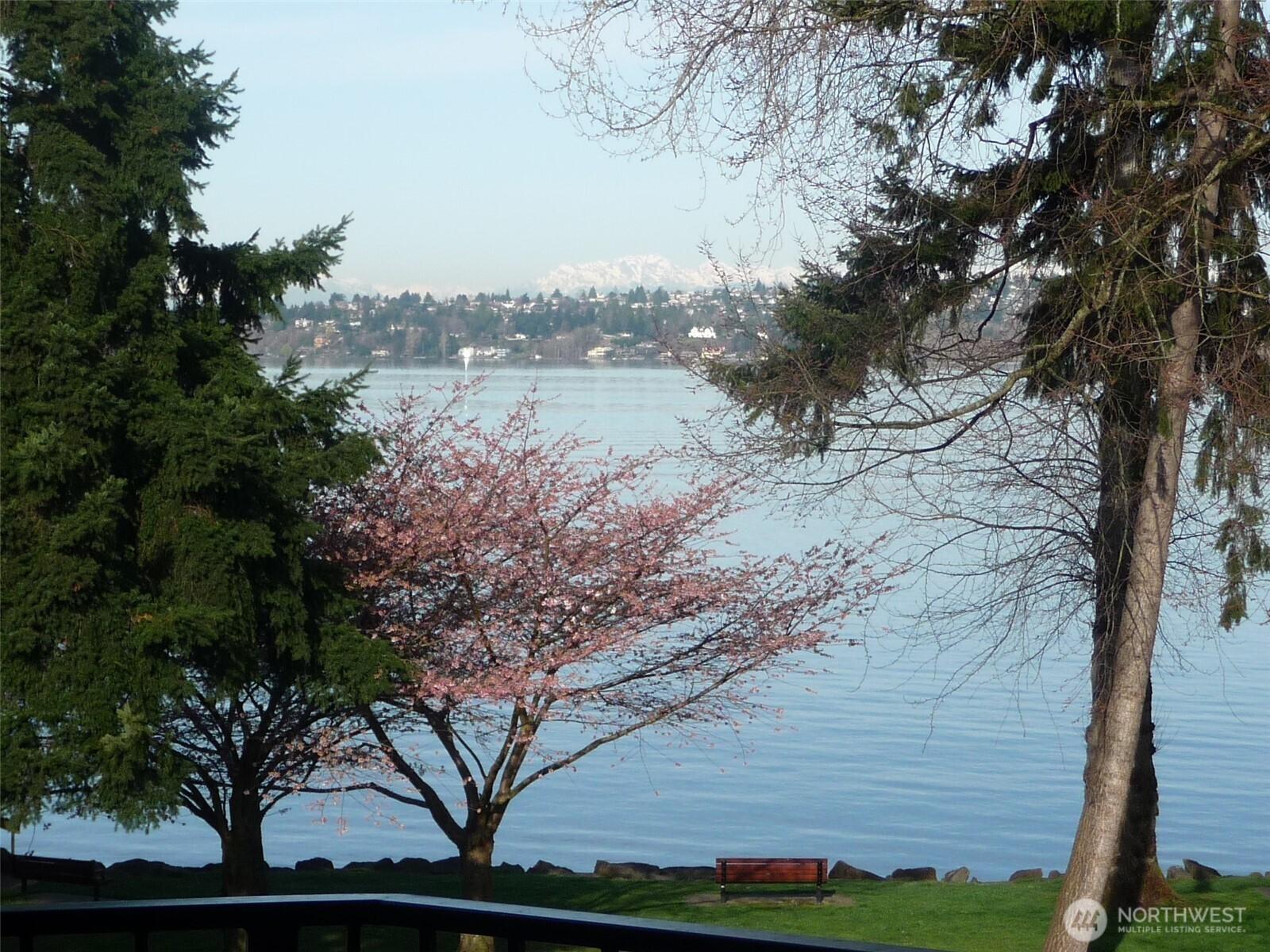 KIRKLAND, Washington, 98033, United States, 2 Bedrooms Bedrooms, ,2 BathroomsBathrooms,Residential,For Sale,1827851