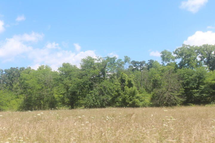 Polk, Missouri, 65727, United States, ,Land,For Sale,1980569