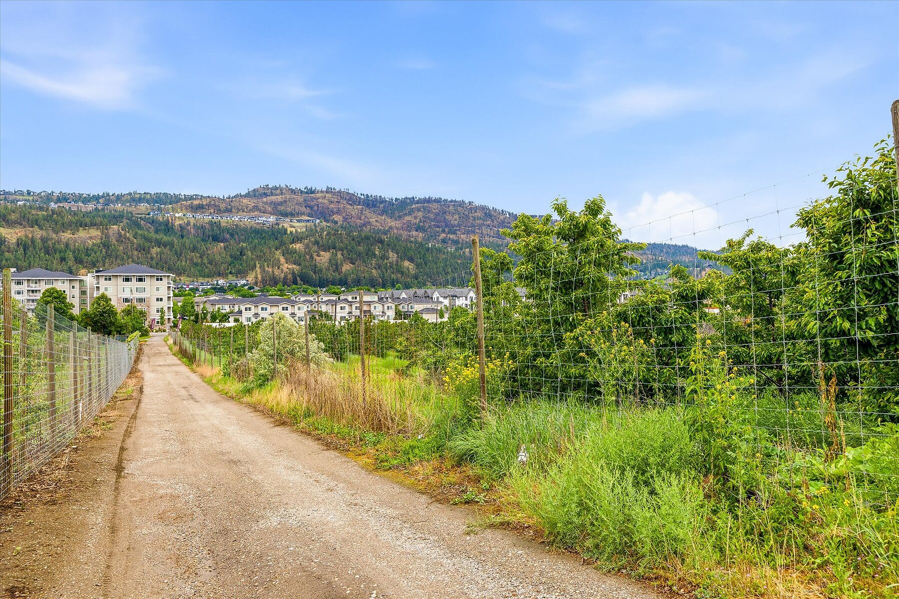  Glenmore Farm Acreage - 物件實景
