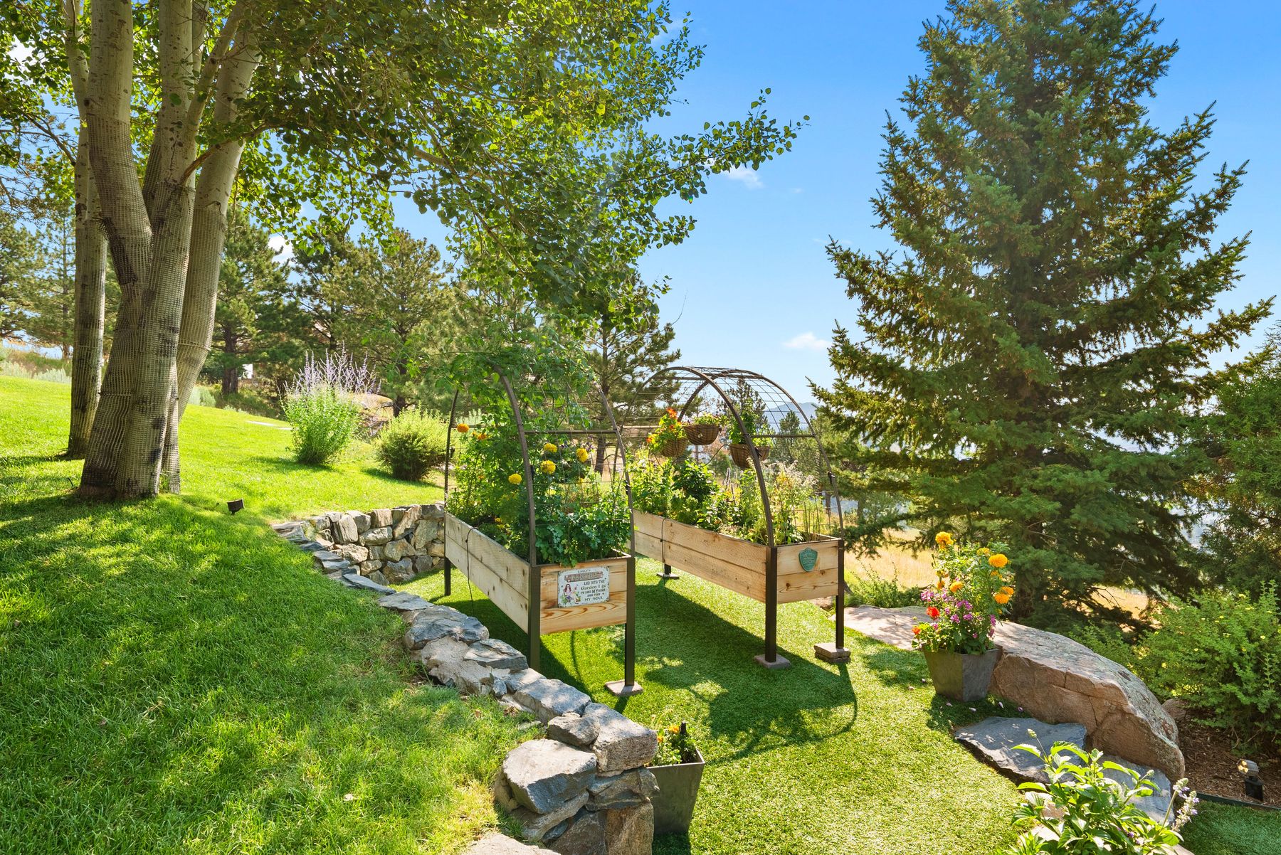  Premium Location with Unobstructed Front Range Views - 物件實景