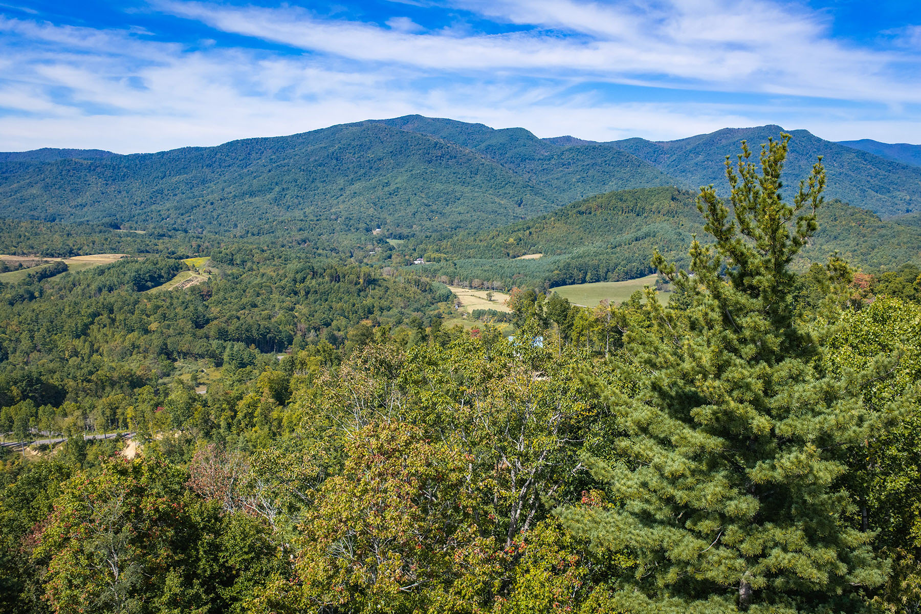  SPRUCE PINE - SUMMIT VIEW - 物件實景